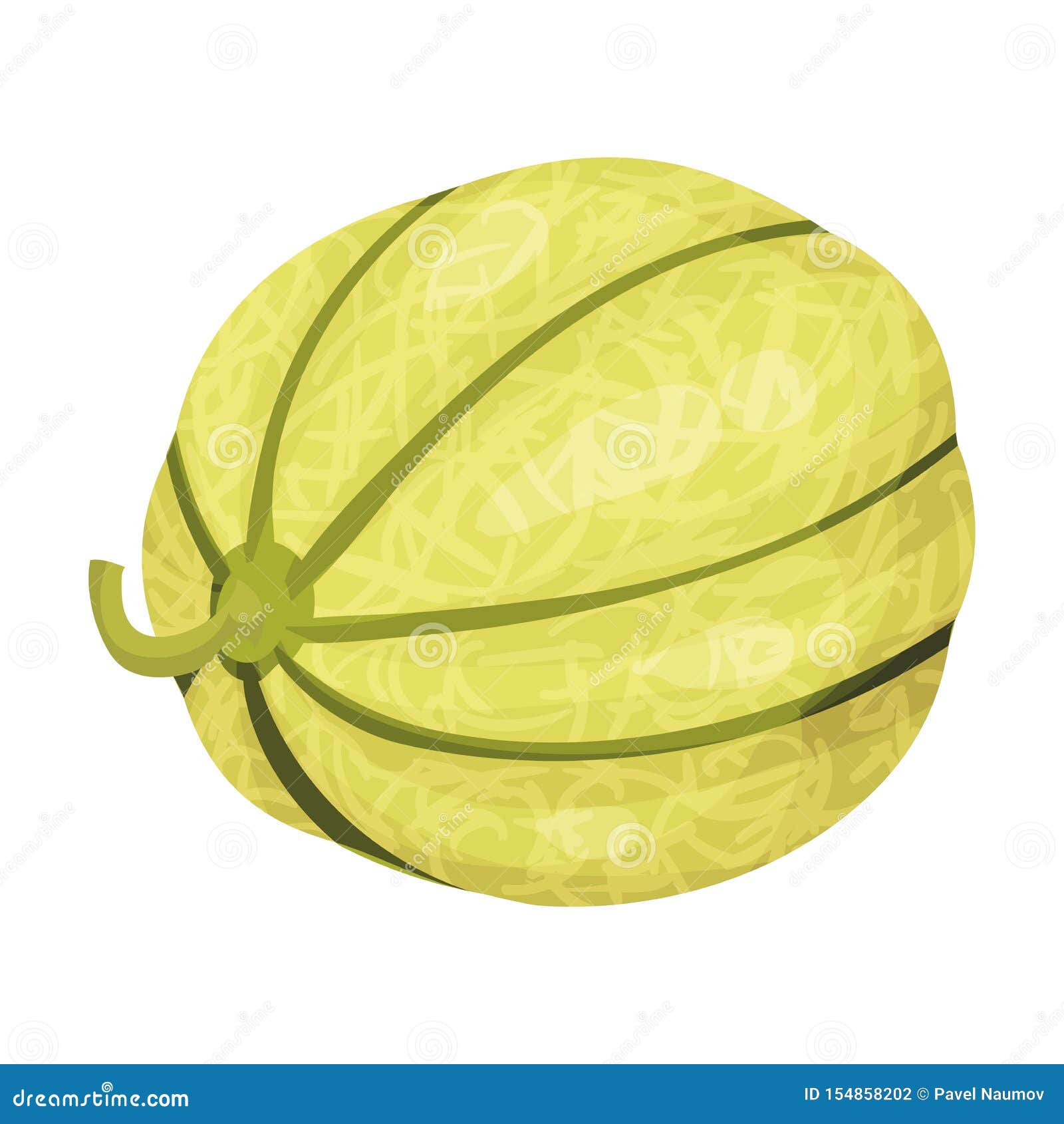 Round Green Melon. Vector Illustration on White Background. Stock