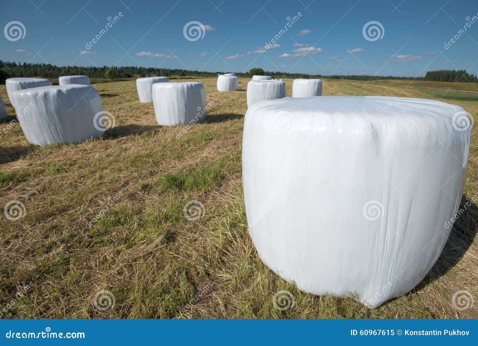 Round Hay Bales Stock Photo Image 60967615