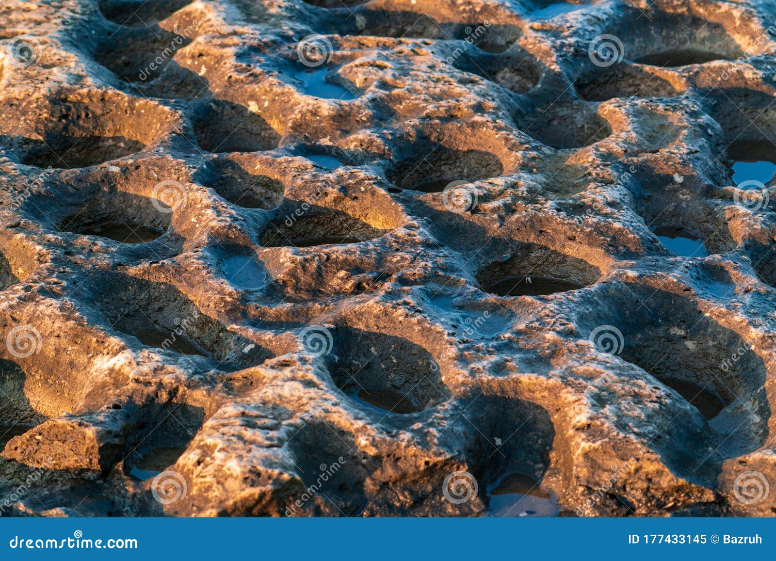 Round Holes with Water in Sedimentary Rock Stock Image Image of