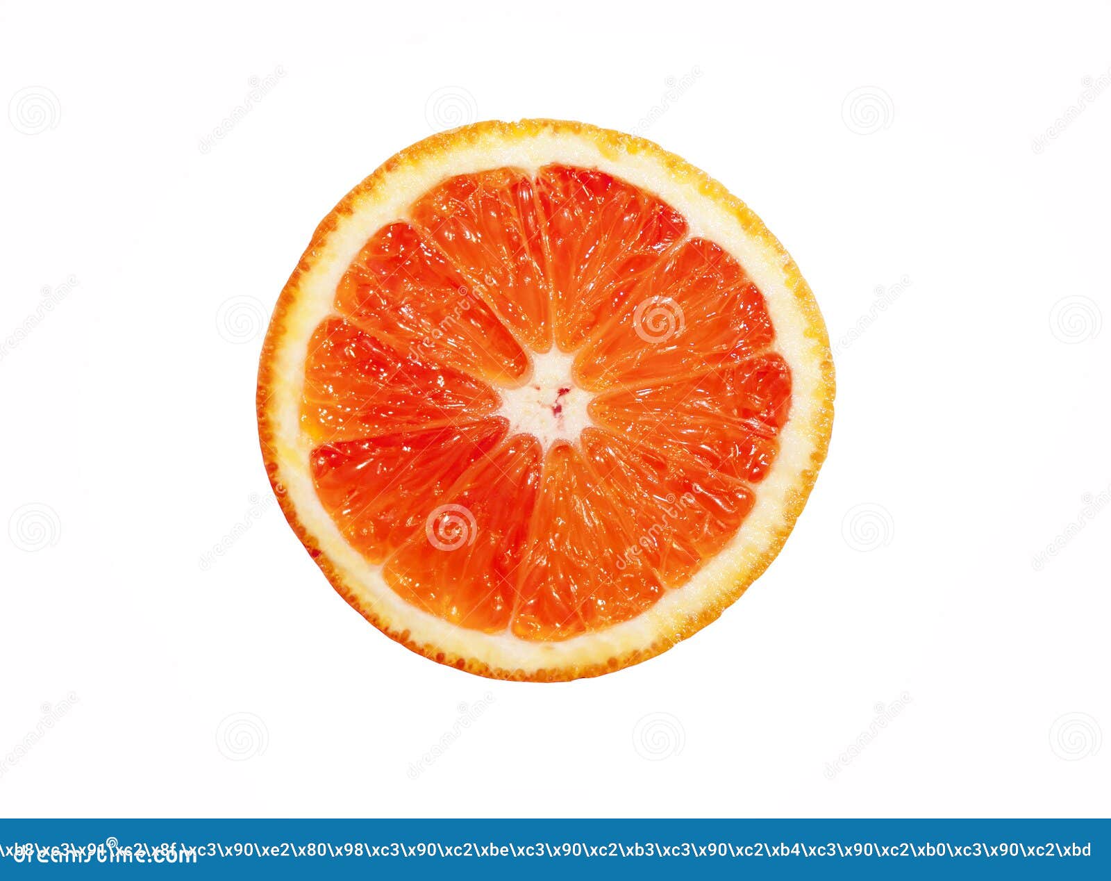 Round Orange Slice on a White Background Stock Image Image of exotic
