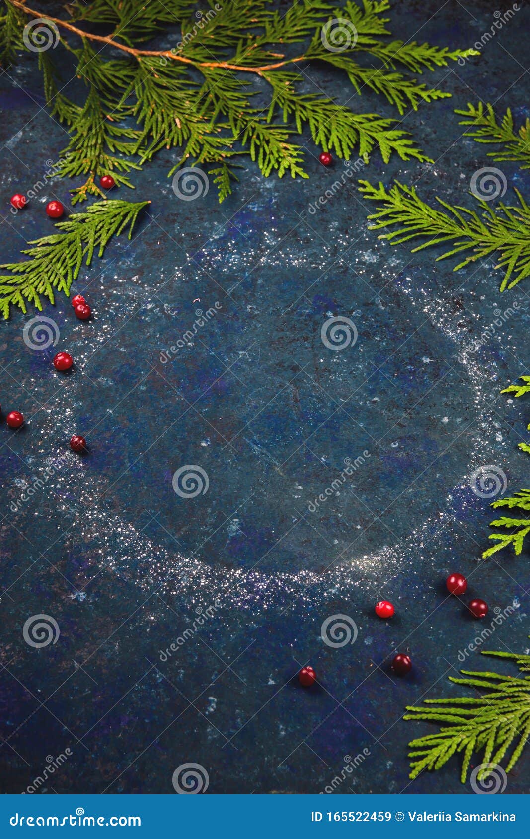 Round Powdered Sugar Ring with Copy Space and Christmas Tree Branches
