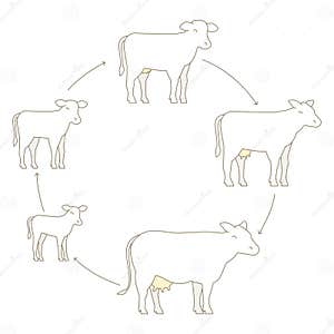 Animated Breeding Telegraph