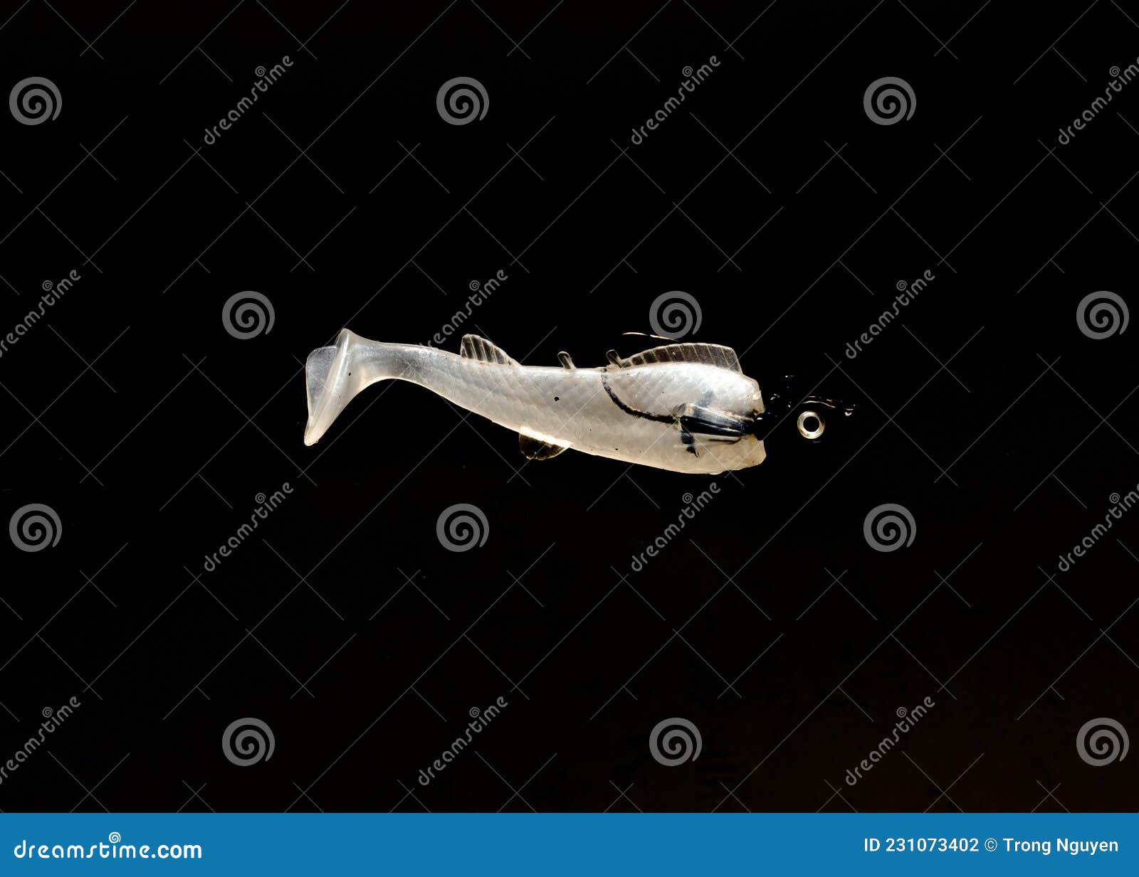 Close Up Weighted Jig Head Hook with Plastic Minnow Like Lure