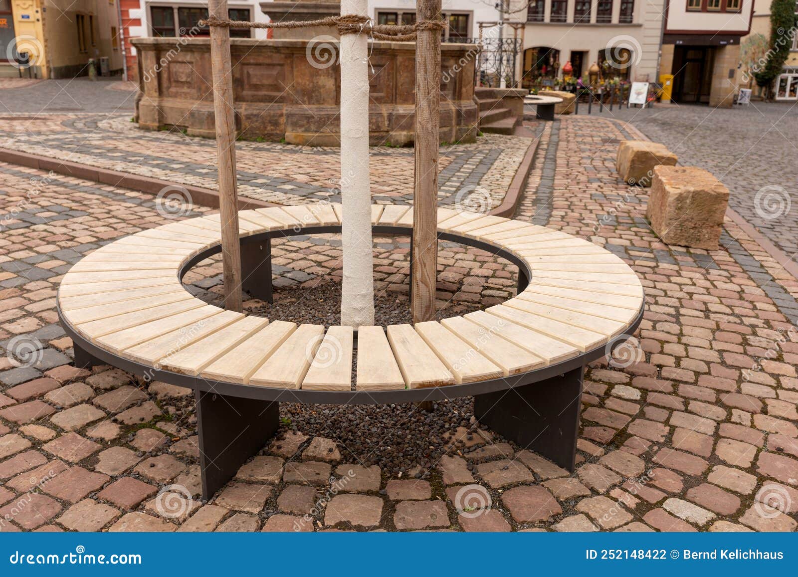 Round Wooden Bench Around the Tree Trunk Stock Photo Image of brown