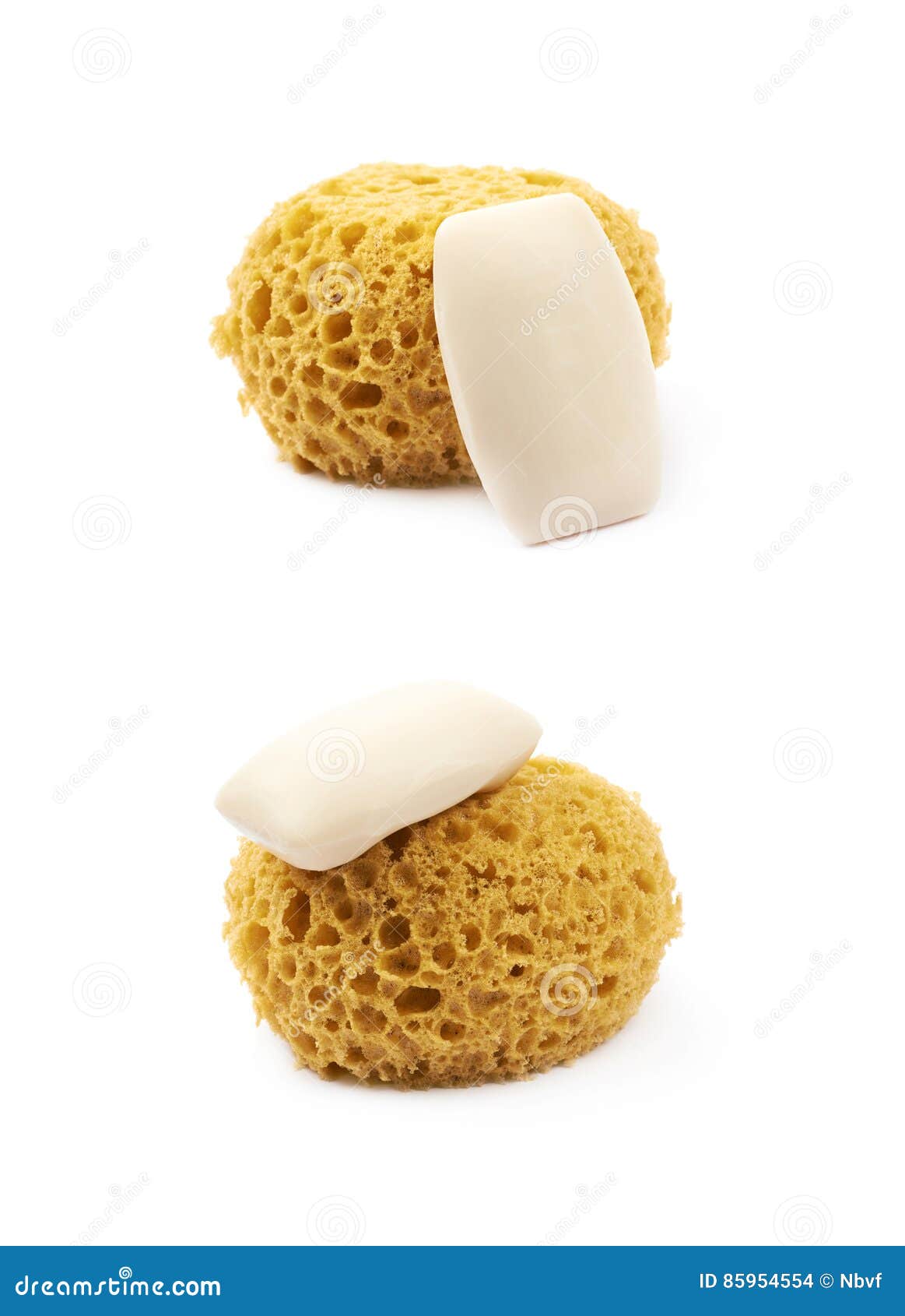 Round Yellow Bath Sponge Isolated Stock Photo Image of color