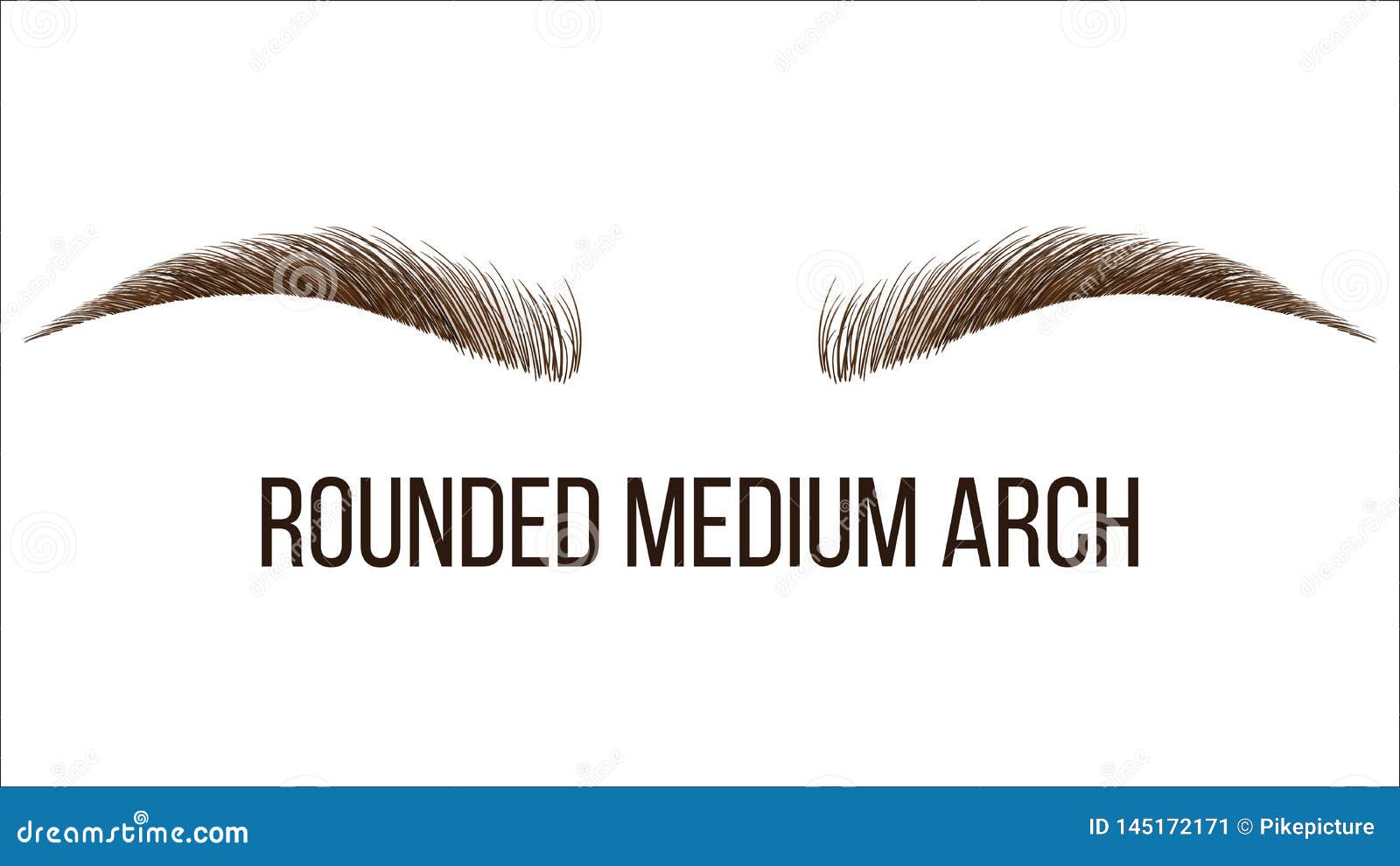 Rounded Medium Arch Vector Hand Drawn Brows Shape Stock Vector