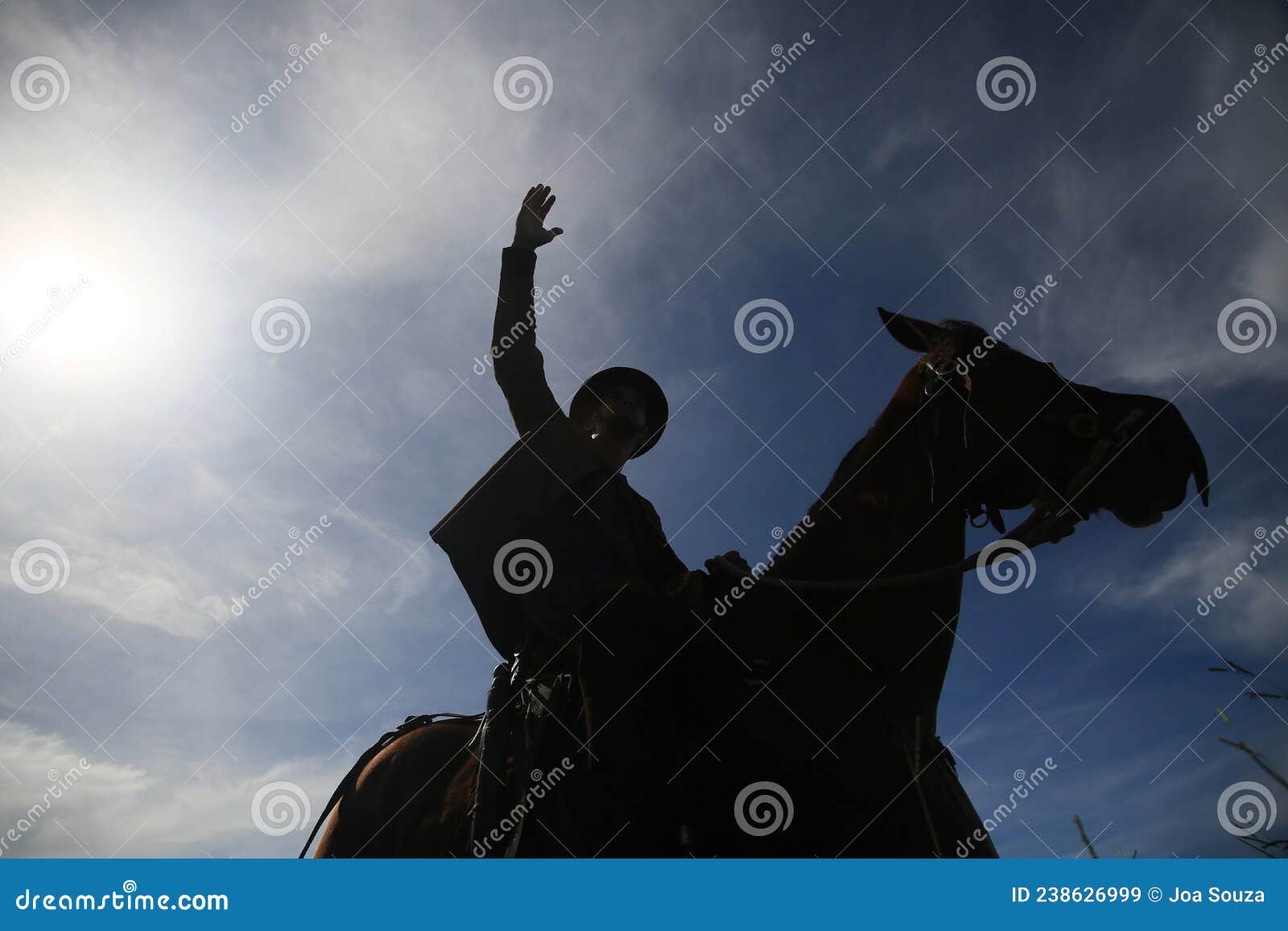 Cavalo Virada Para A Frente - Fotografias de stock e mais imagens de Animal  - Animal, Cavalo - Família do Cavalo, Fotografia - Imagem - iStock