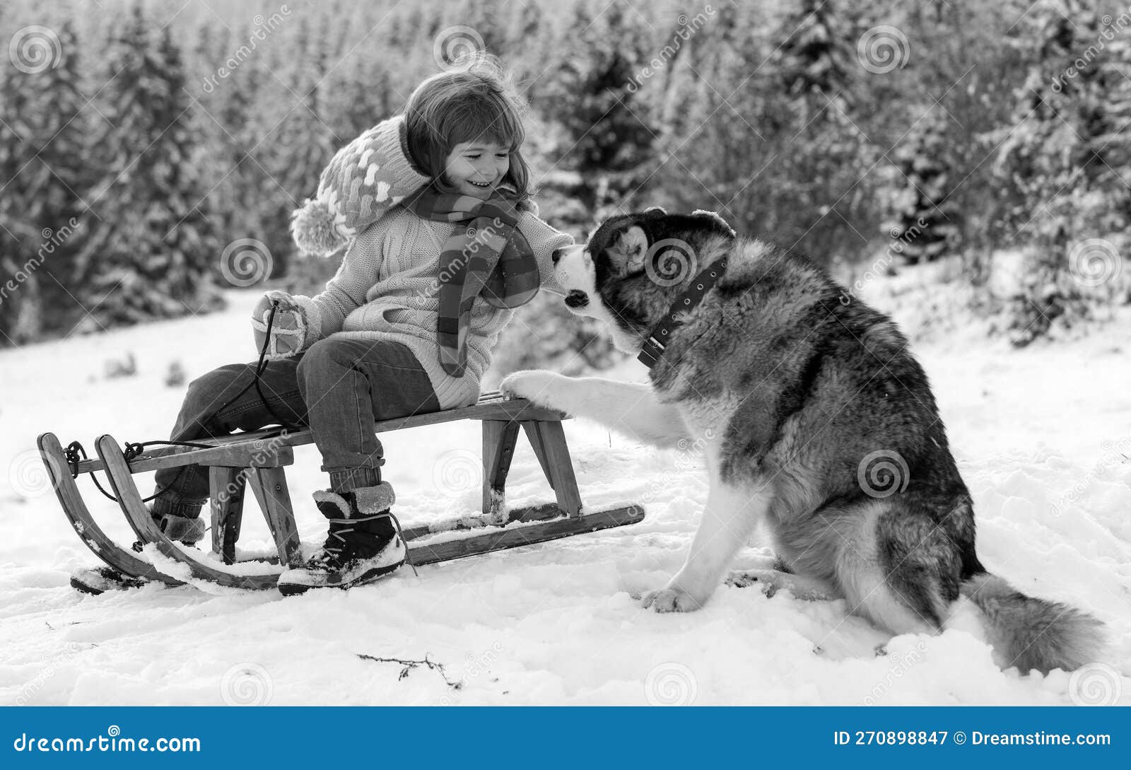 Engraçado menina criança brincando em bolas de neve. inverno jogo de  inverno para crianças. criança se divertindo na época do natal