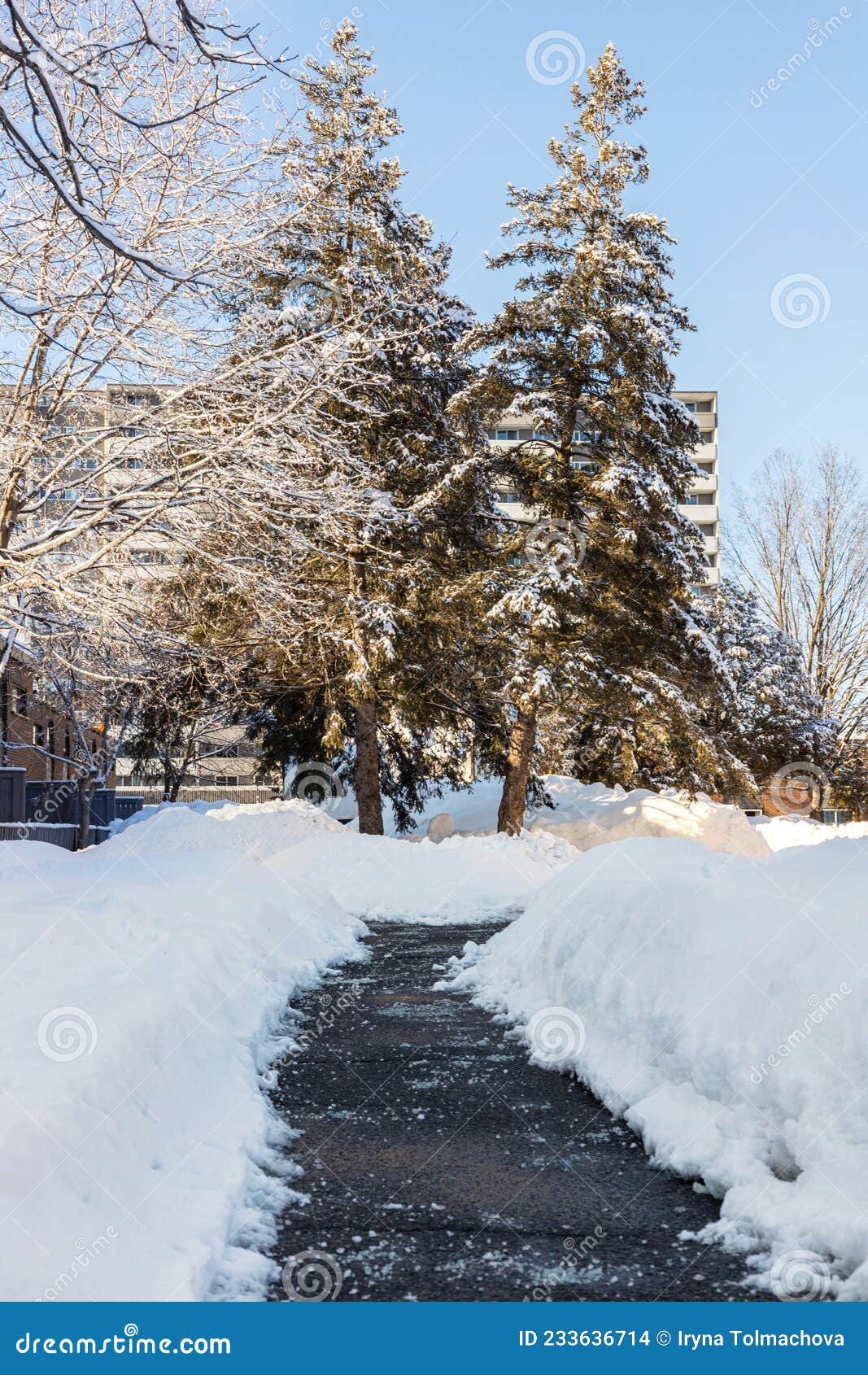 Route d'hiver avec sel pour faire fondre la neige et maison en