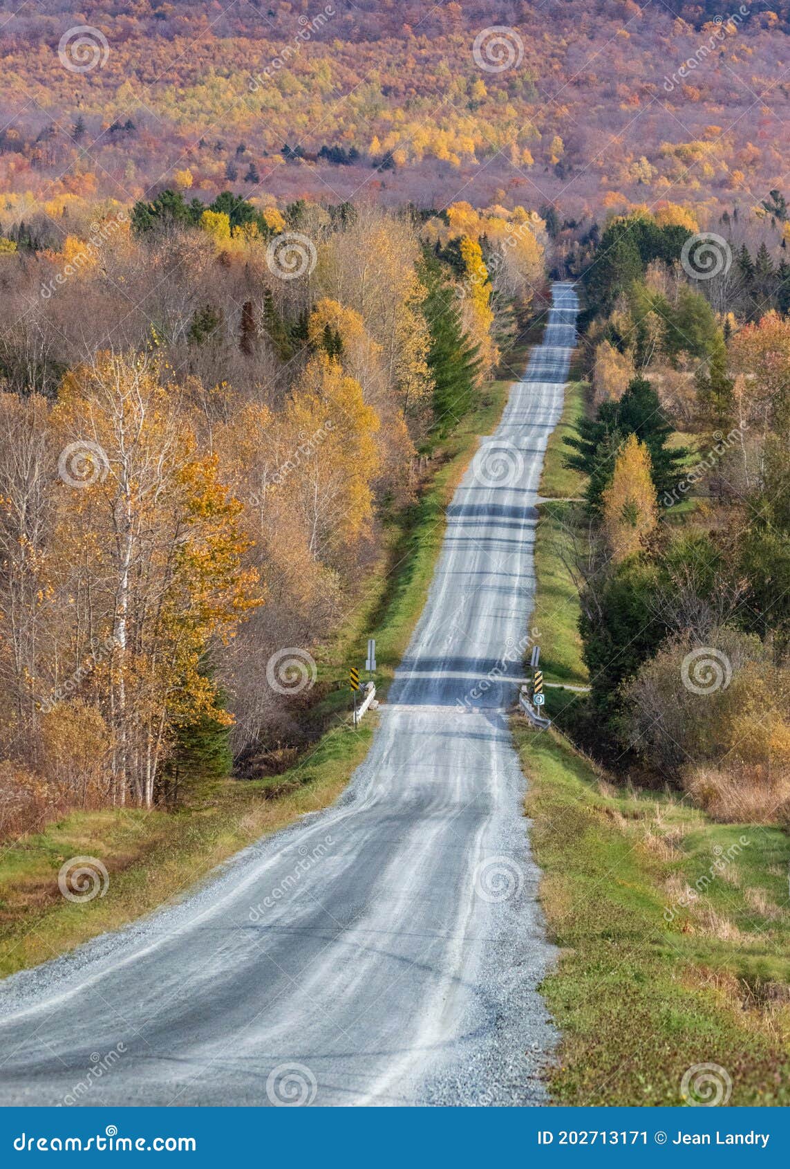 Route De Campagne Inégale Dans Le Paysage De La Forêt De Couleurs