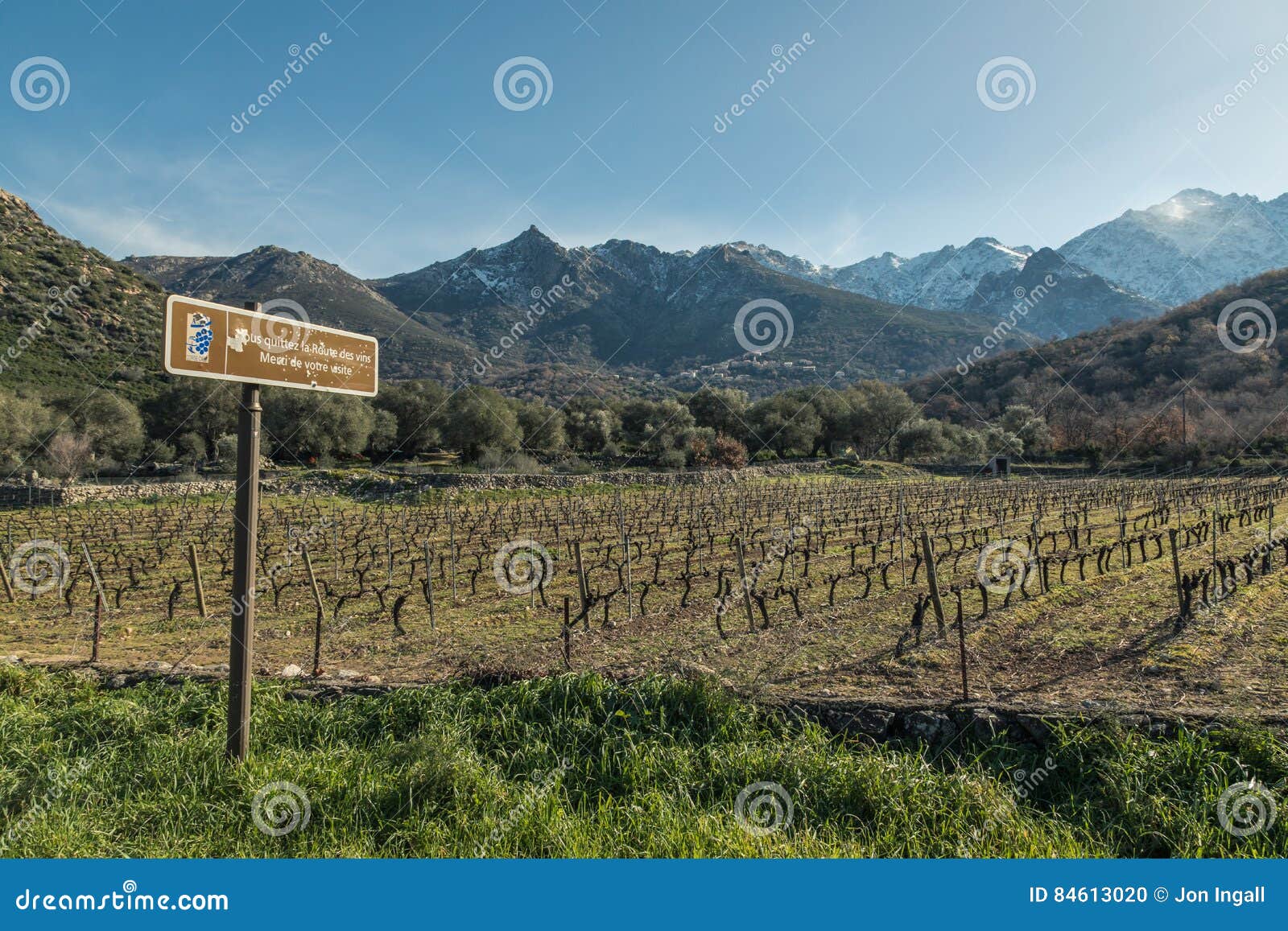 route des vins road sign by vineyard in corsica