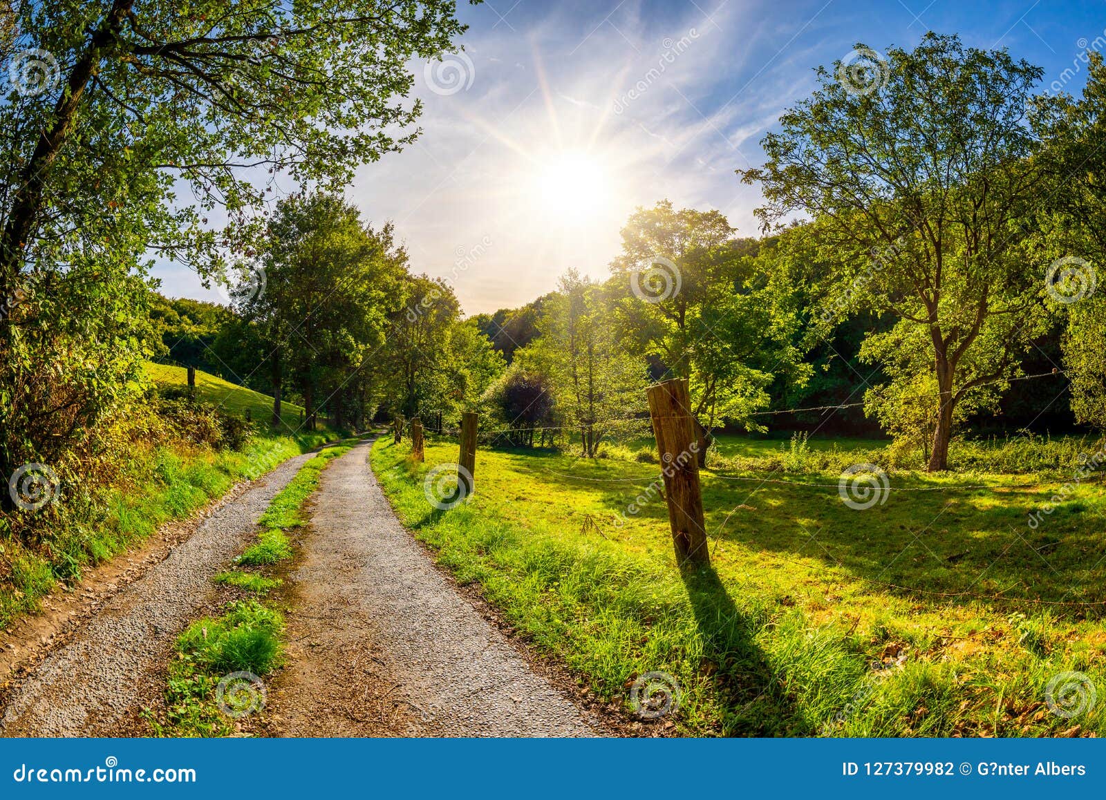 Route Par Un Beau Paysage Dété Photo Stock Image Du Allemagne