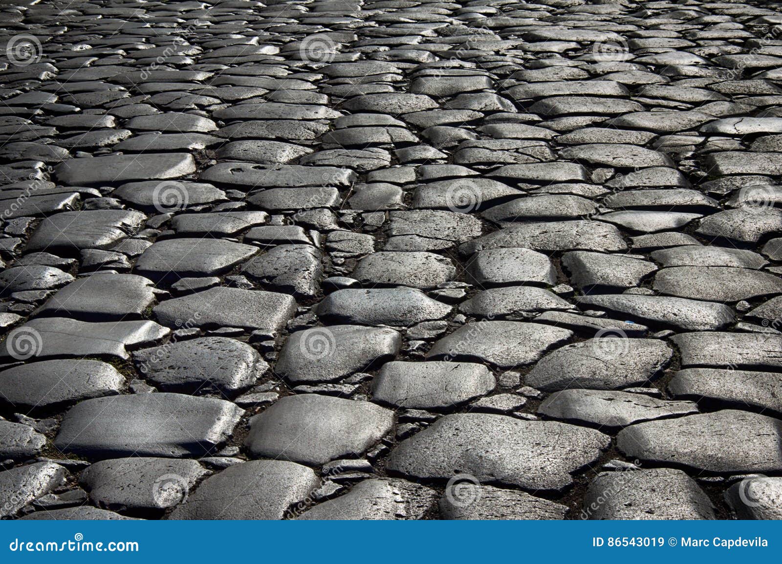 Rouleau Texturant 3D Pour Route En Pierre Pavée - Modélisme 1:87, 1:72, 1:35 - PLA+