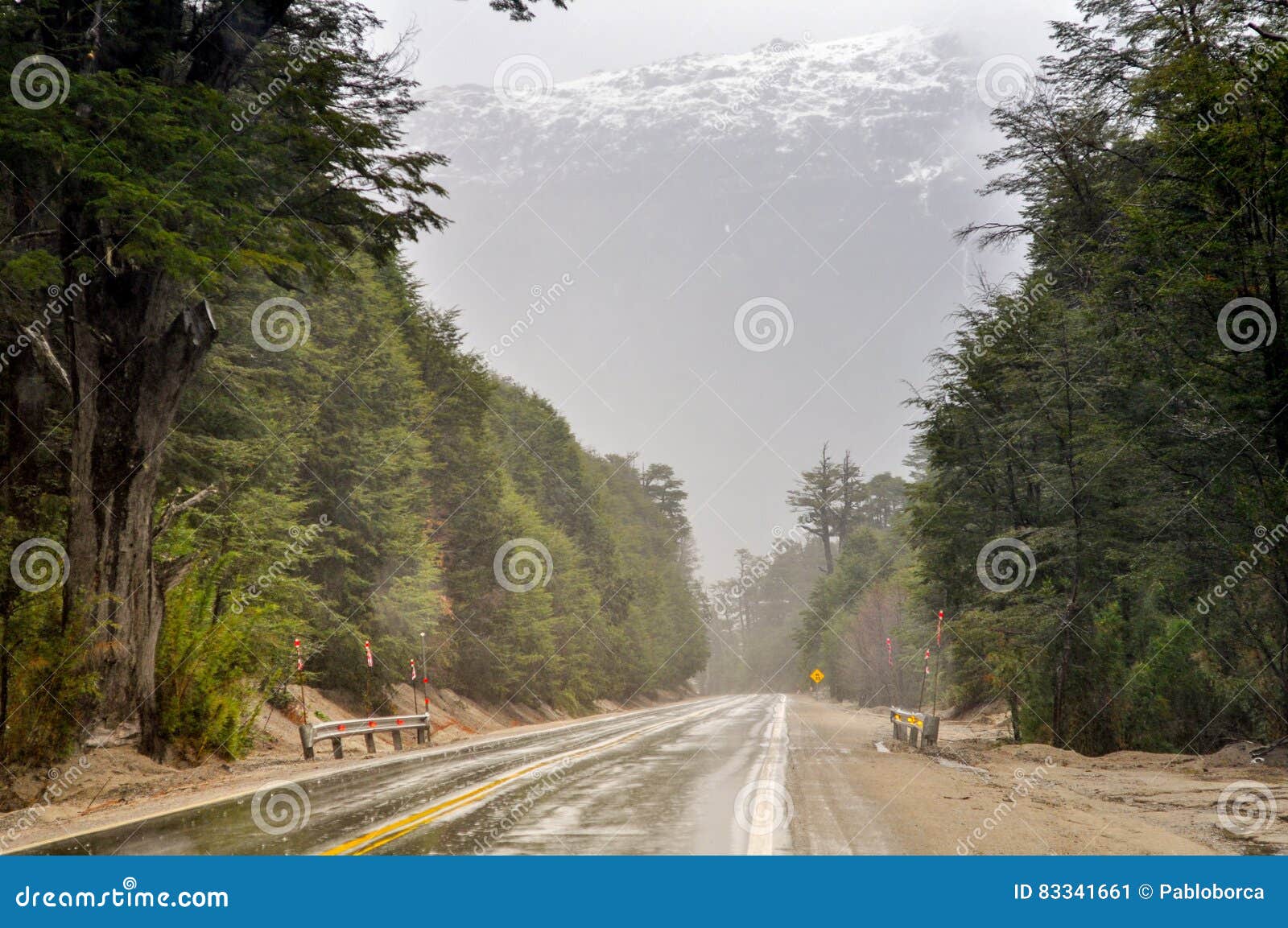 route with snowcaped andes mountains background in neuquen