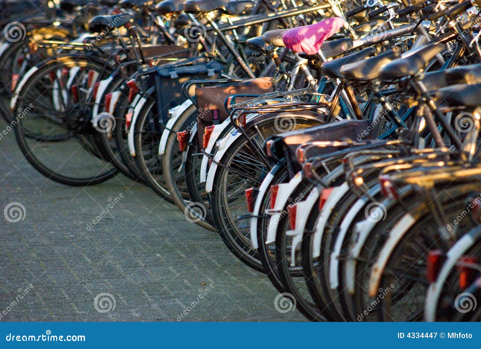 row of bicycles
