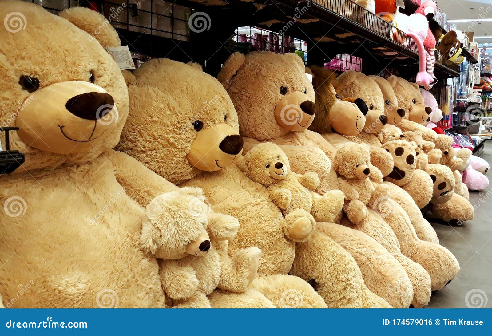 teddy bear store