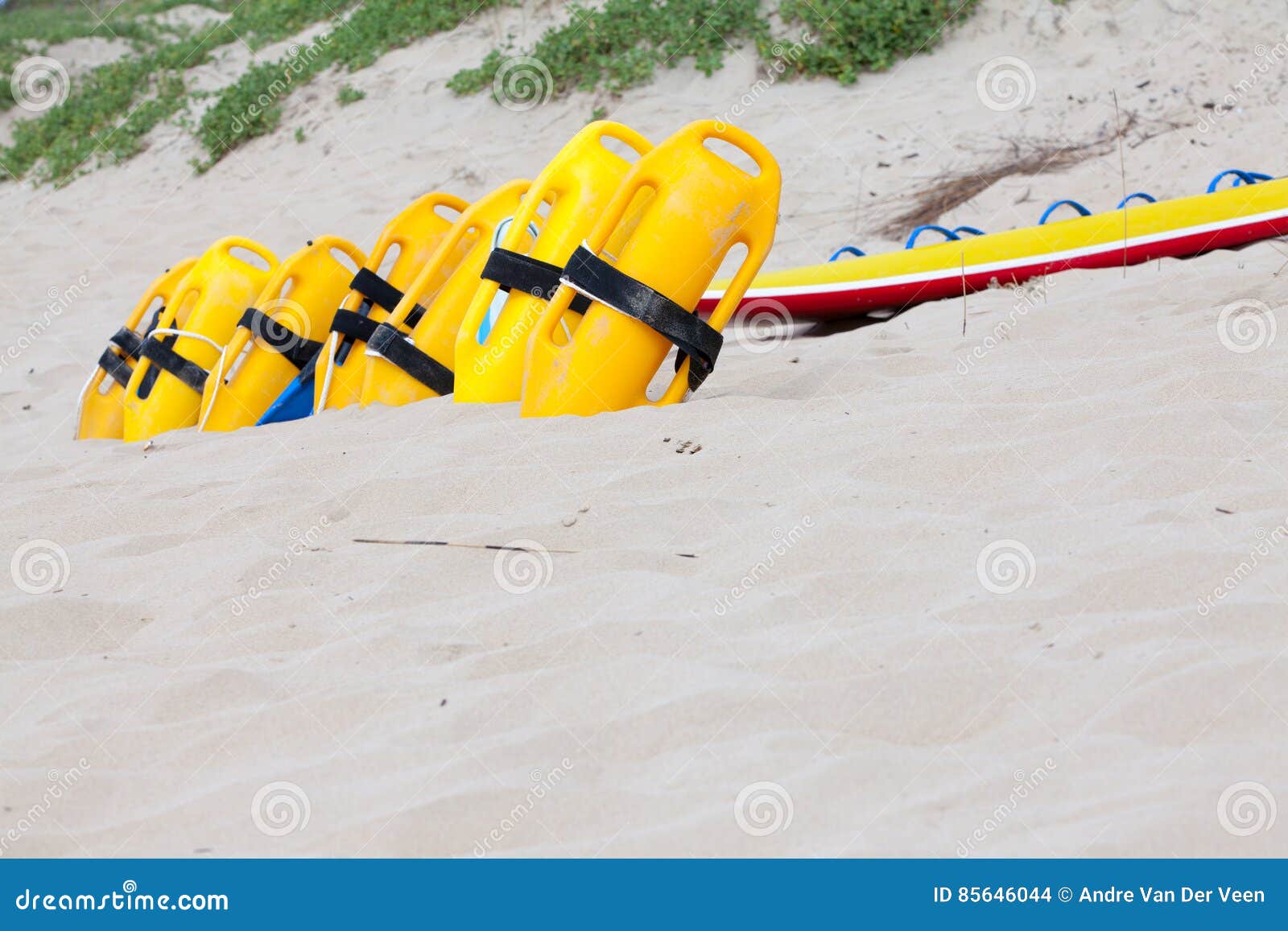 Row of Bright Yellow Floatation Devices on Beach Stock Photo - Image of ...