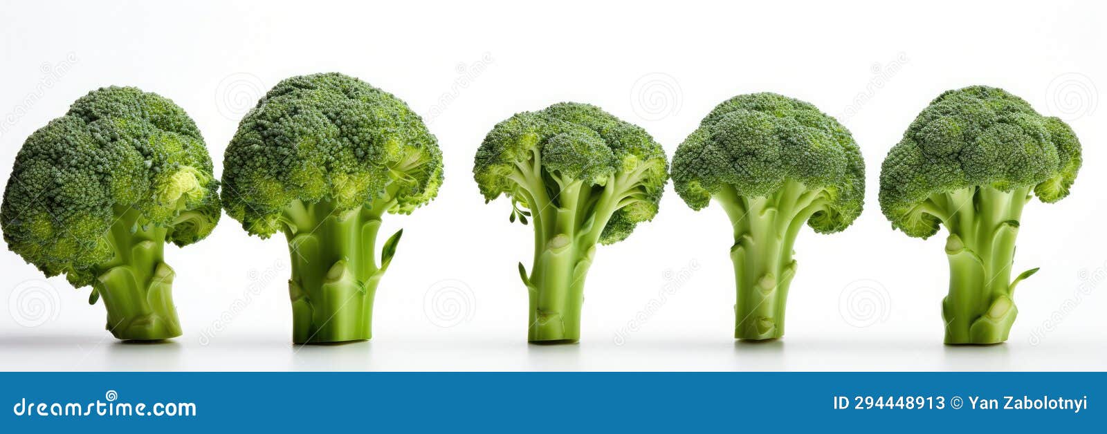 A Row of Broccoli Heads in Different Positions Stock Illustration