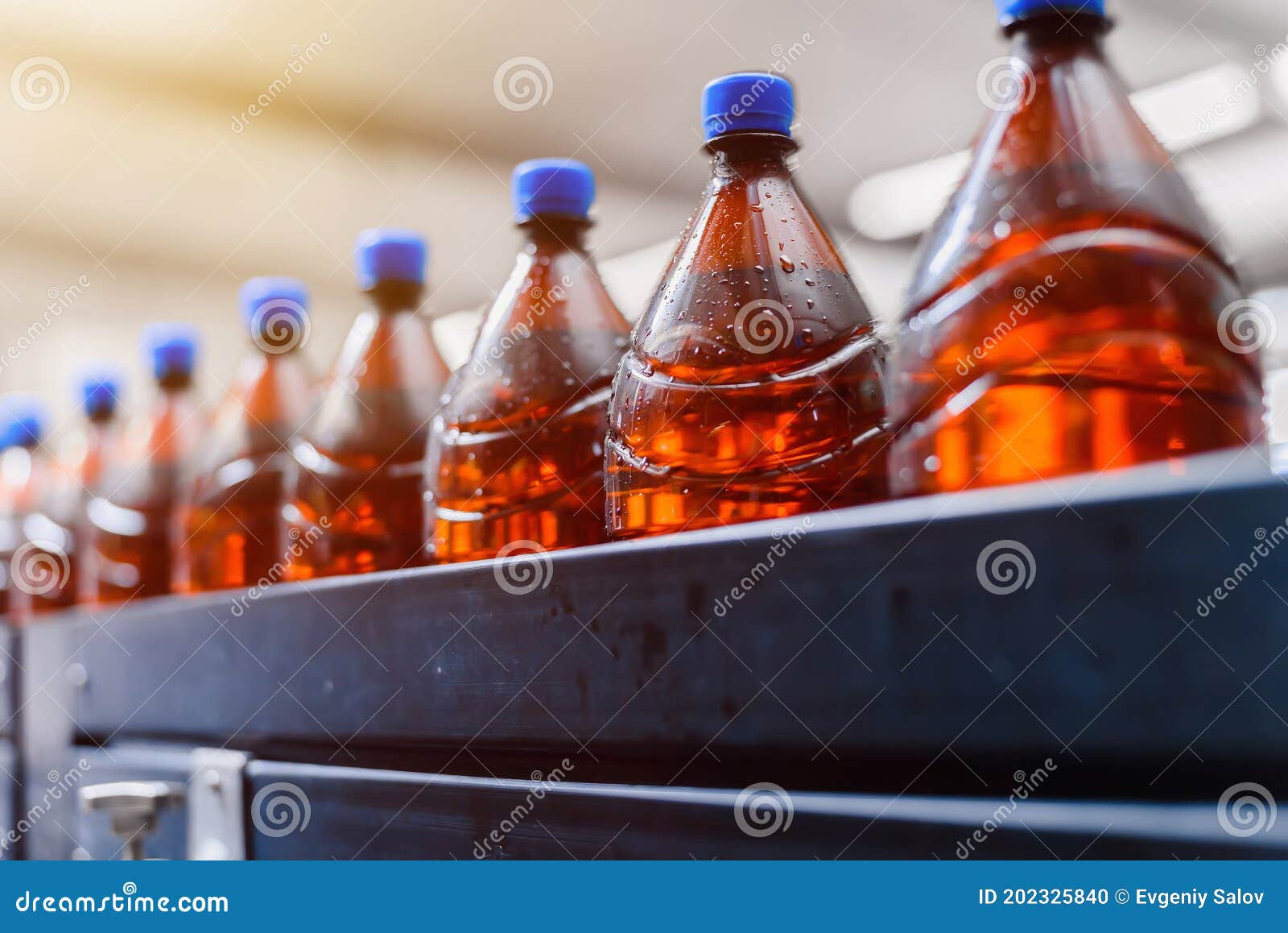 Row of Brown Beer Plastic Bottles on Beer Filling Conveyor Line Stock