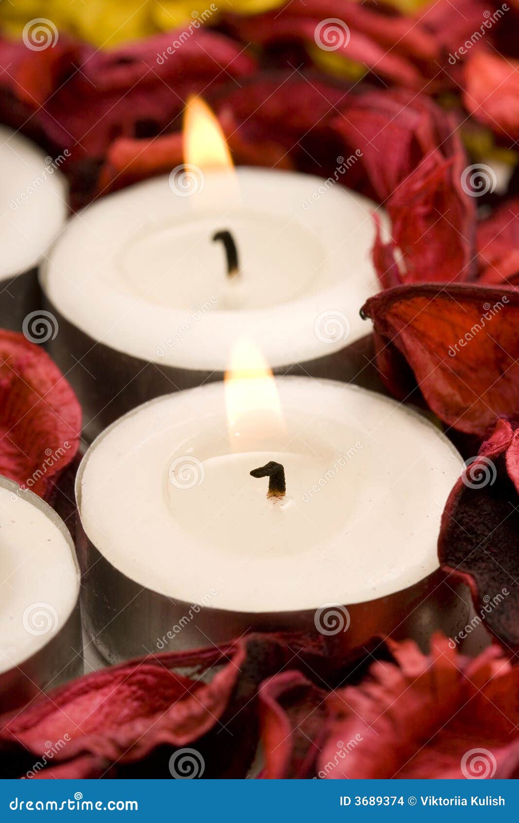Row of Candles with Rose Petals Stock Photo Image of dispenser, care