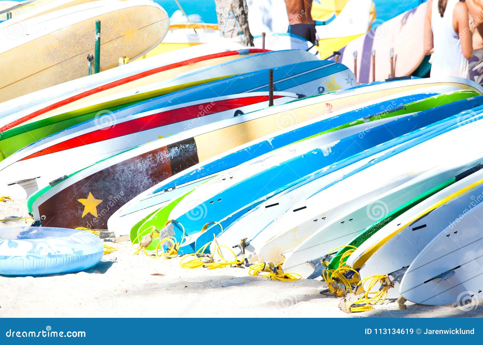 Row of Surfboards Lined Up on Sandy Beach in Hawaii Stock Image Image