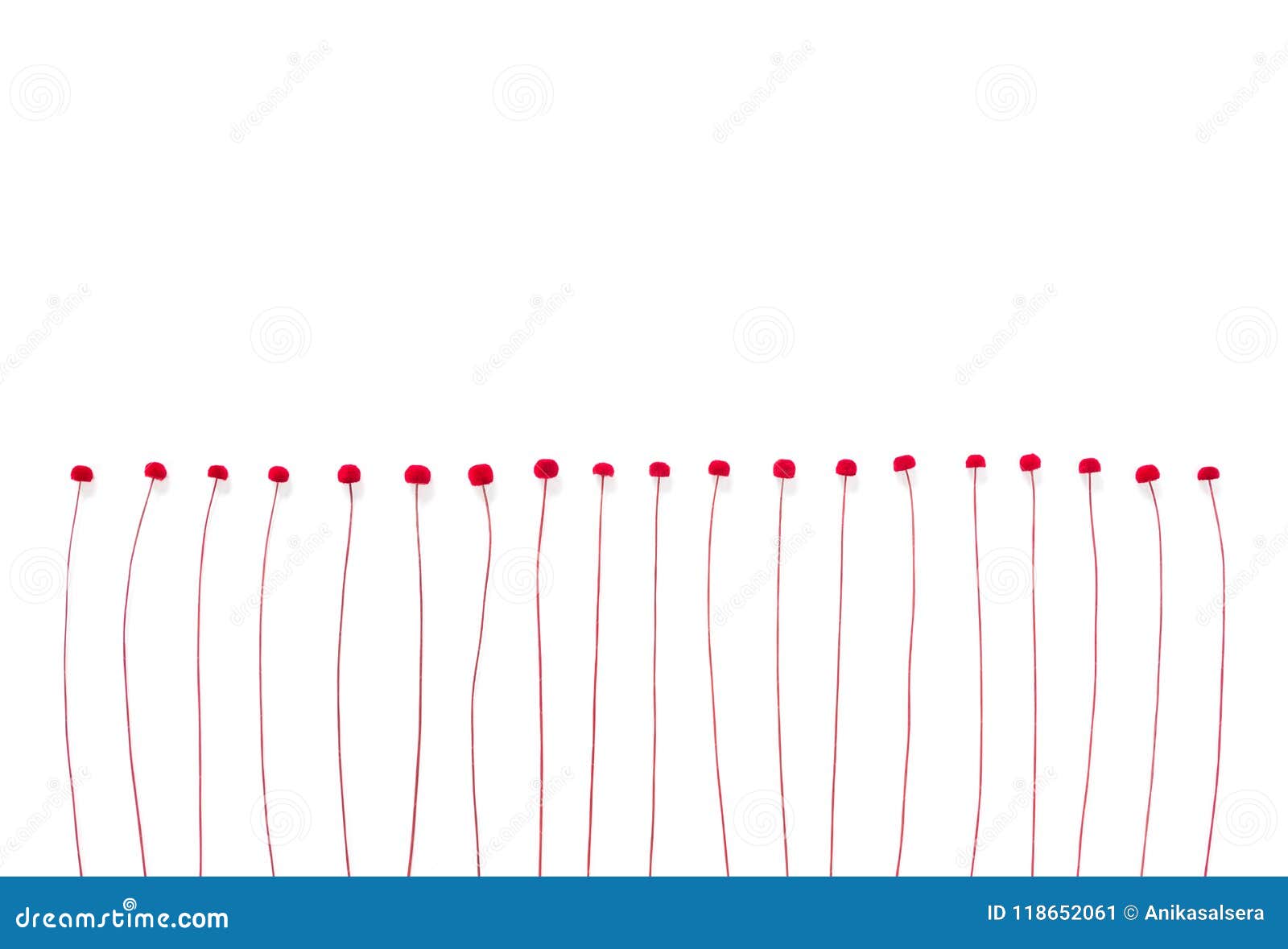 Delicate Red Flowers on White Background Stock Image Image of angle