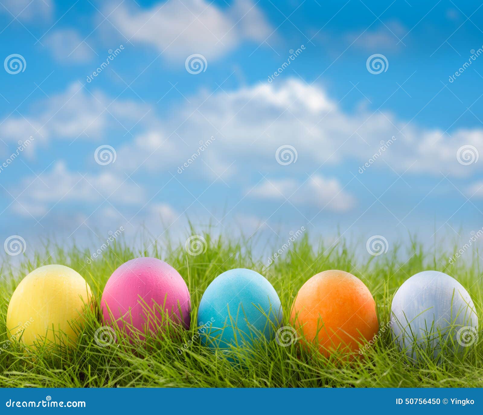 row of easter eggs in grass