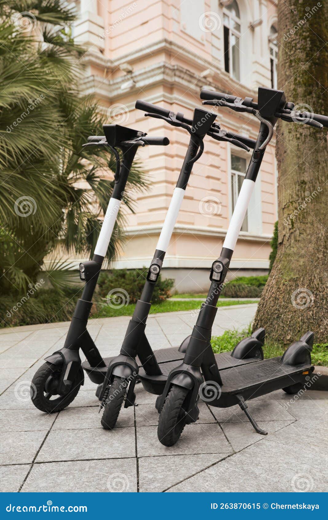 Row of Electric Scooters Outdoors. Rental Service Stock Image Image
