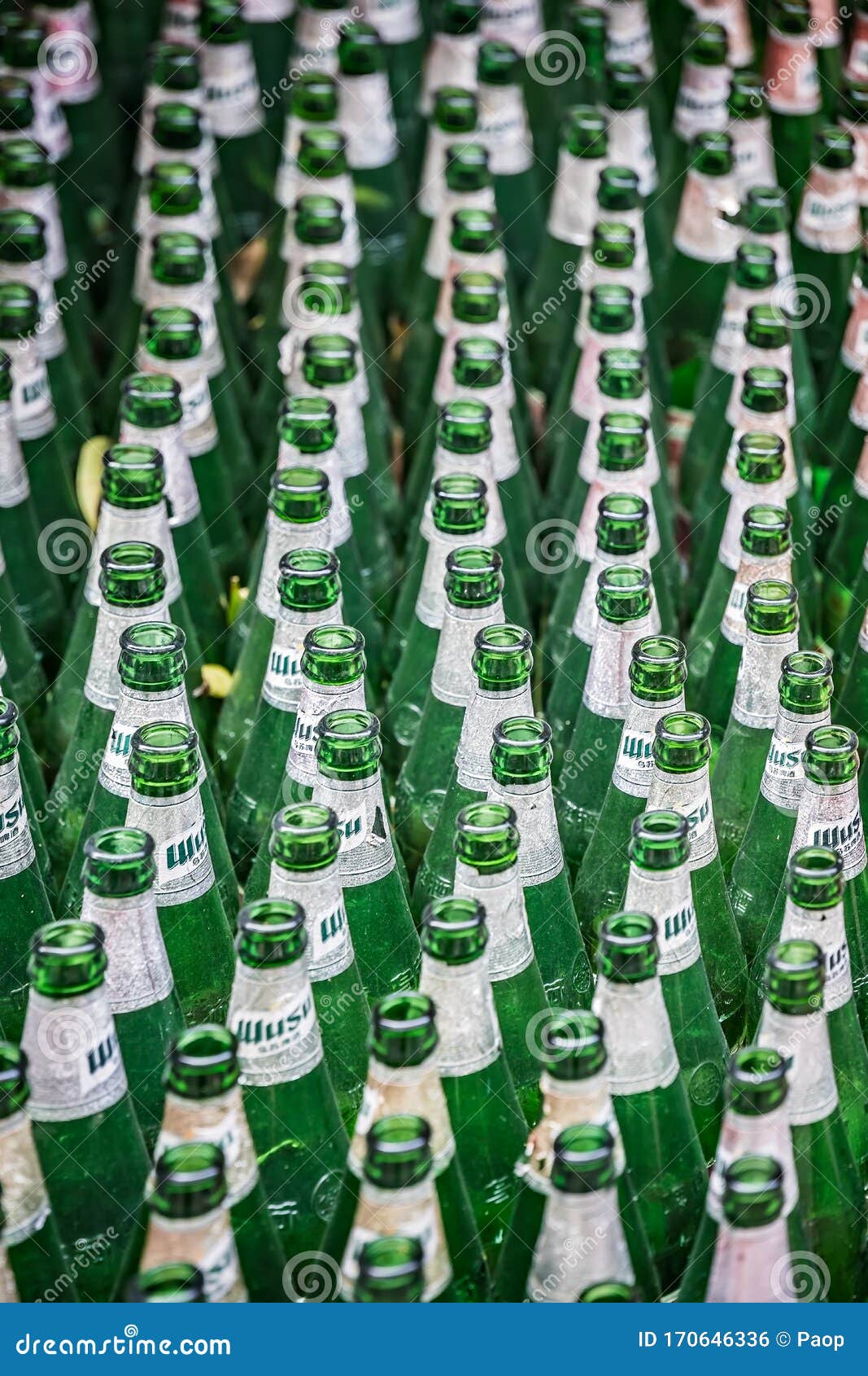 Row of Empty Beer Bottle for Recycling Editorial Photo Image of