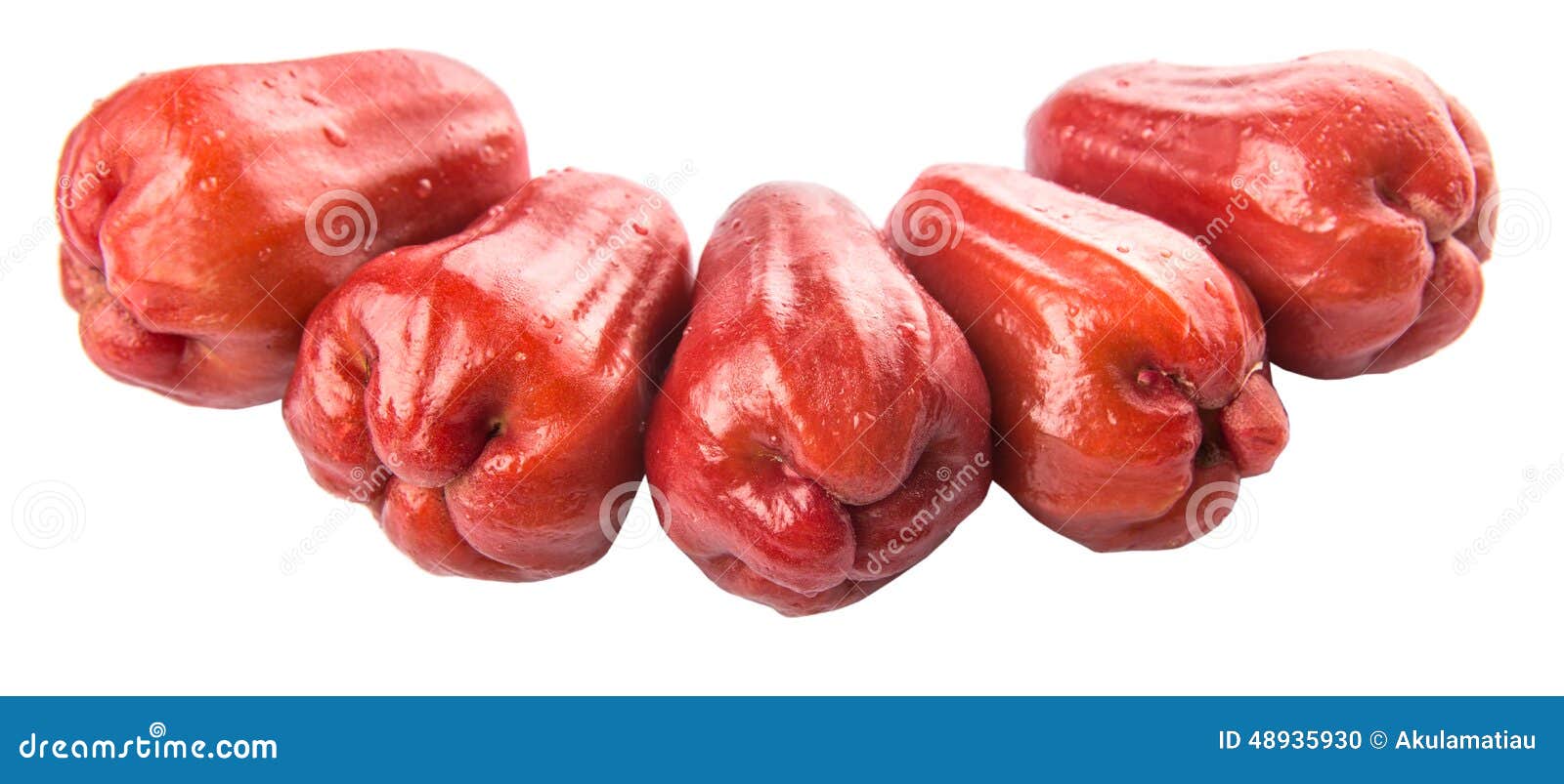 Row Exotic Rose Apple Fruit XII Stock Photo Image of isolated