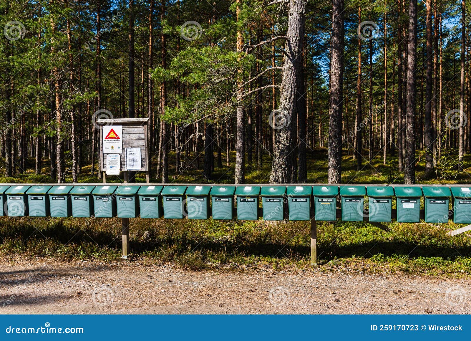 Row of Green Mailboxes on the Roadside in the Forest on a Sunny Day Editorial Stock Photo