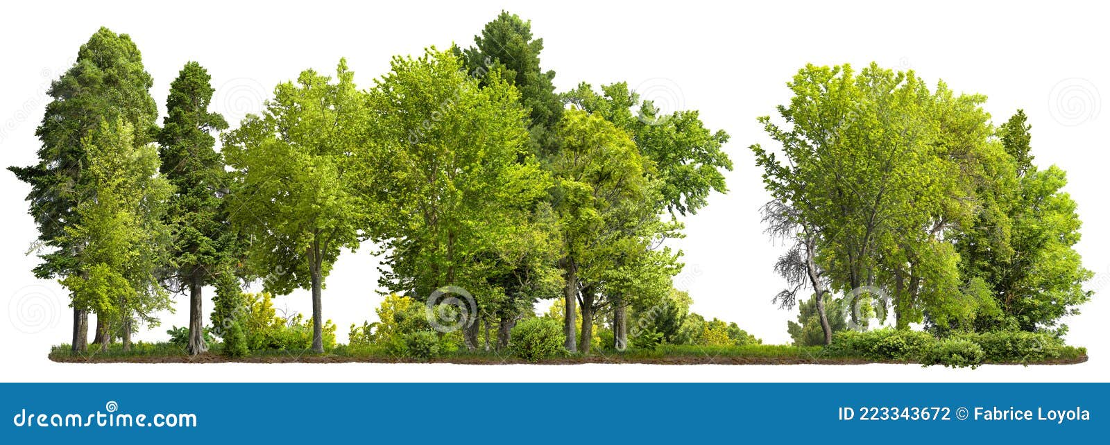 cutout tree line. forest landscape