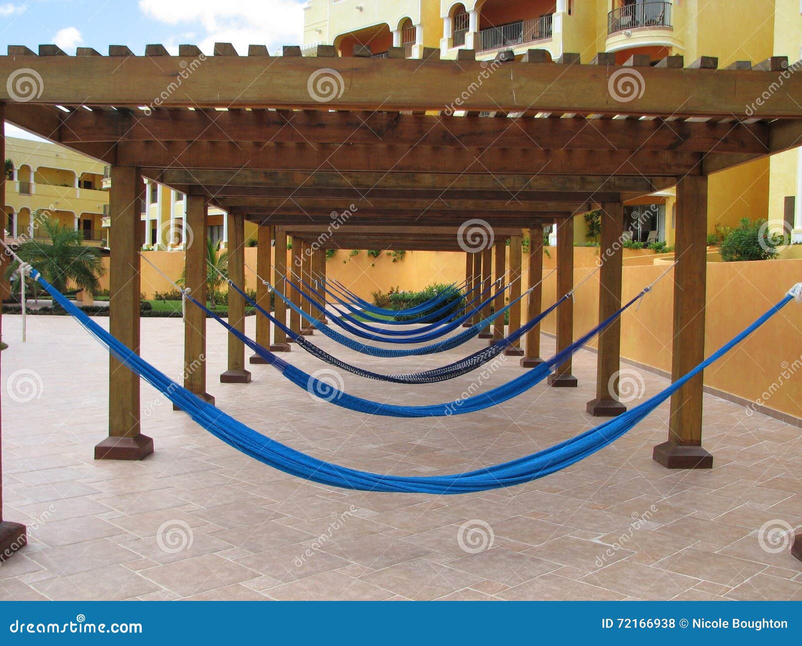 Row of Hammocks at a Resort Stock Photo Image of hammocks, sleep