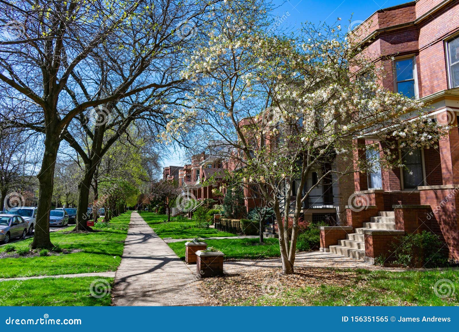 Row Of Old Homes With Grass In The North Center Neighborhood Of Chicago