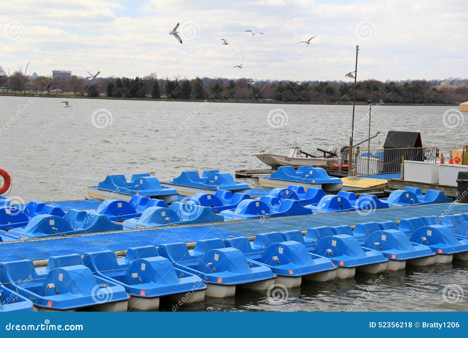 Row of Paddle Boats Set in the Tidal Basin, Washington,DC,2015