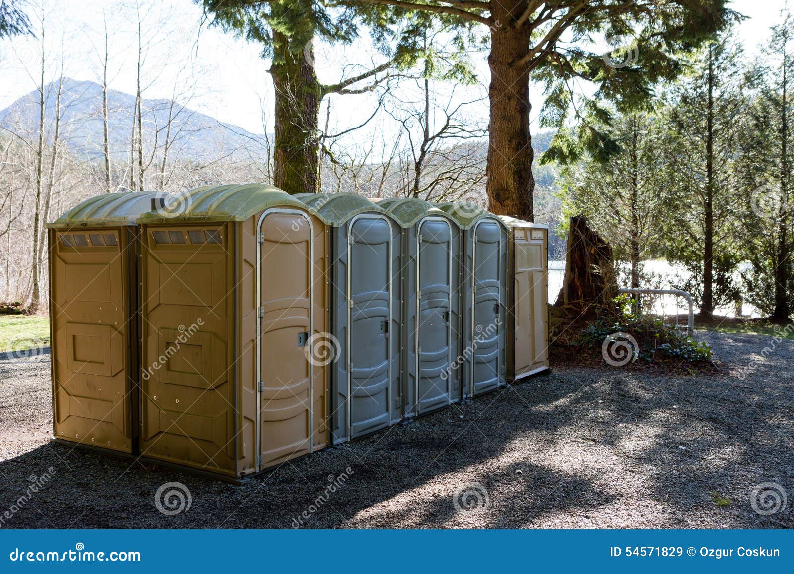 row of public portapotty toilets in a park