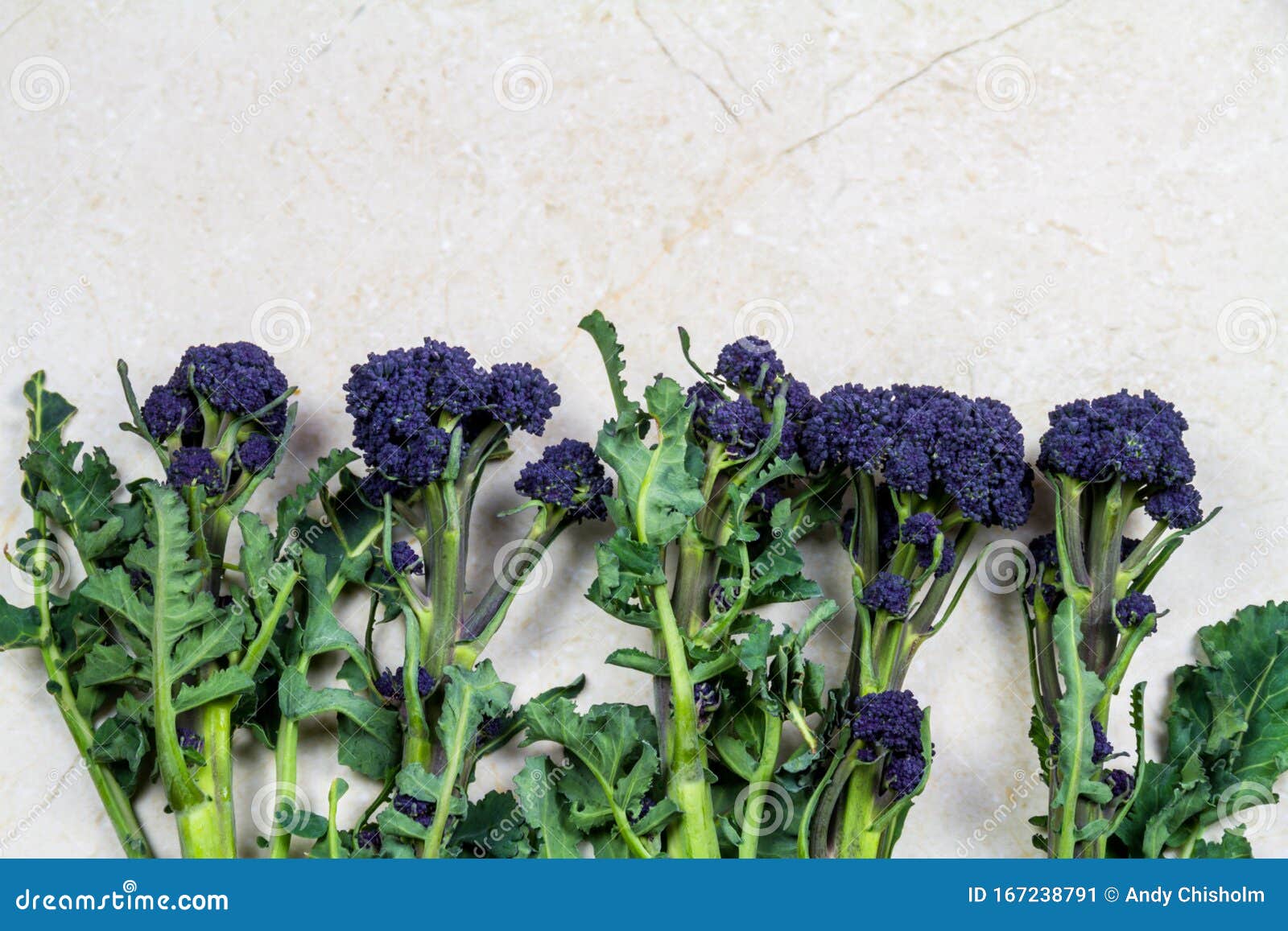 row of purple sprouting broccoli, background, texture