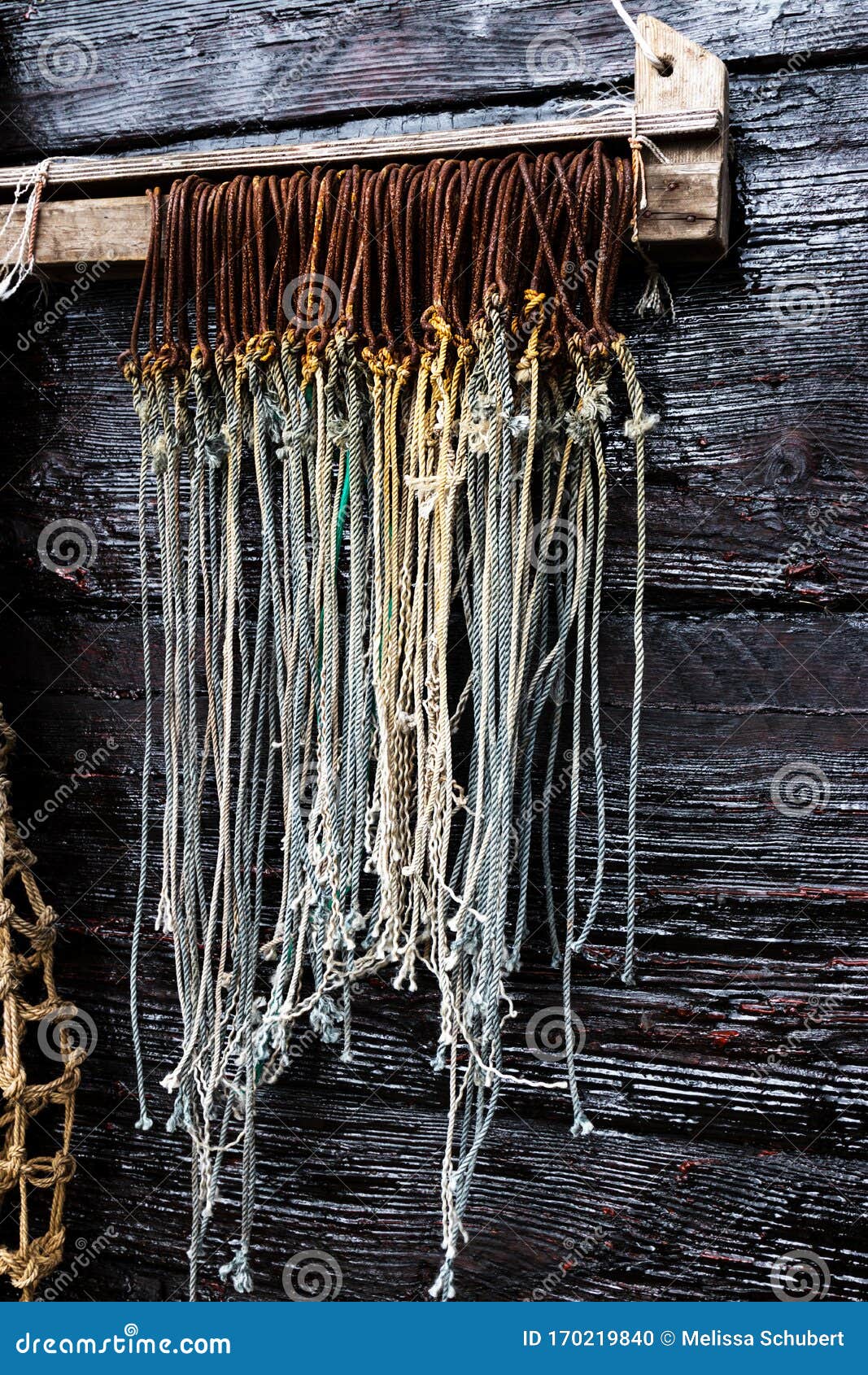 Rusty Big Game Fish Hooks Hanging with Rope Tied Stock Photo