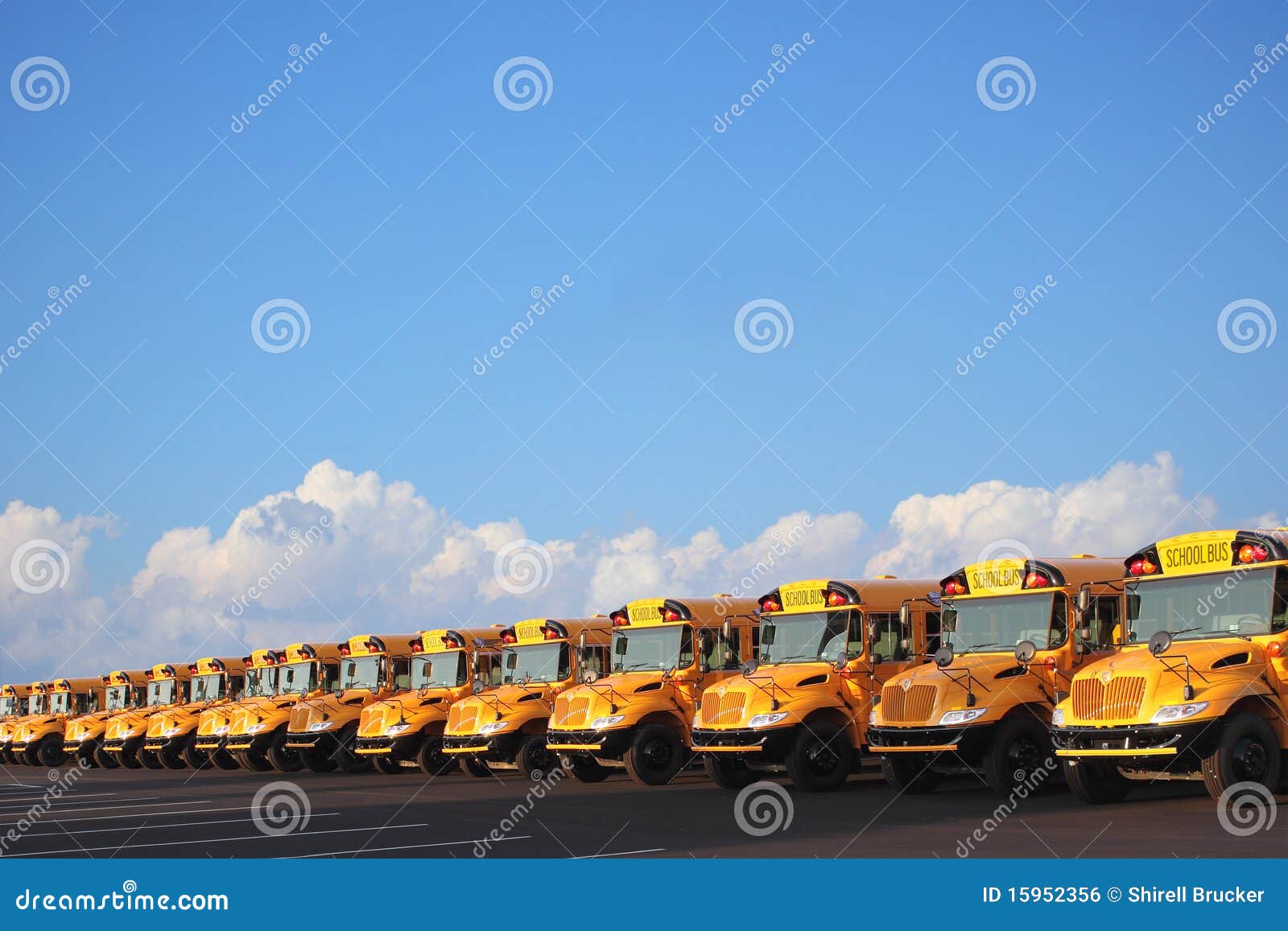 row of school buses