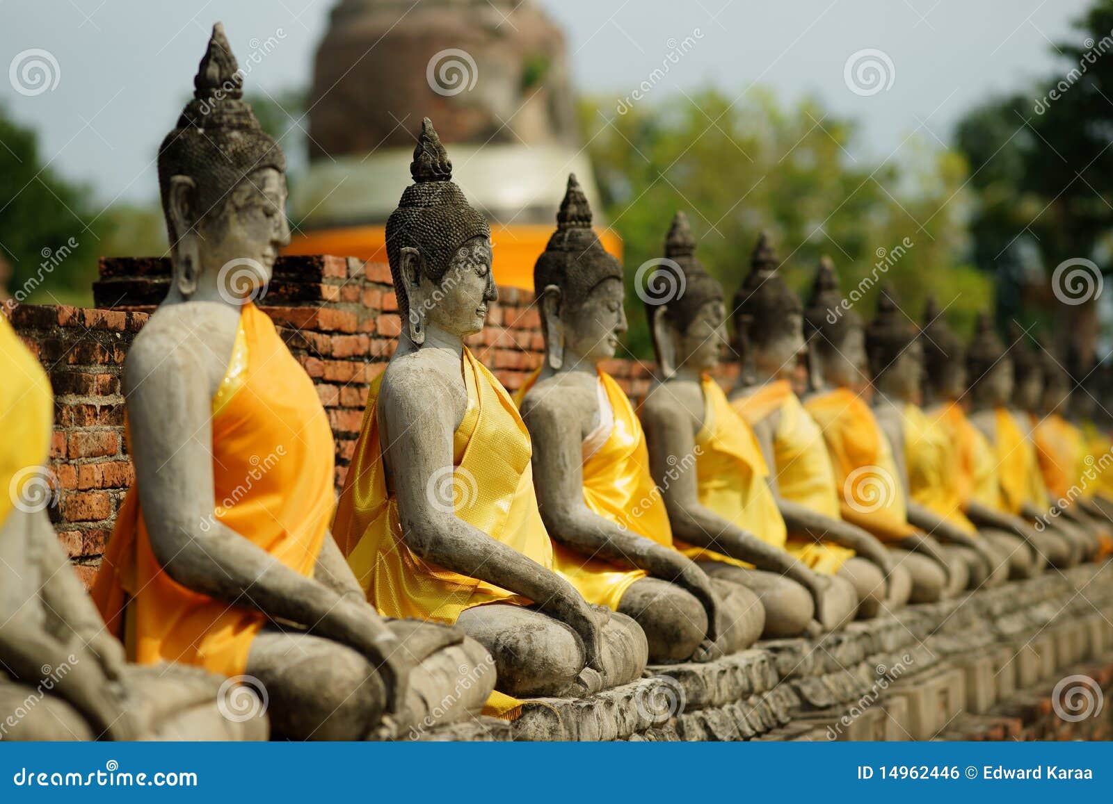 row of seated buddhas