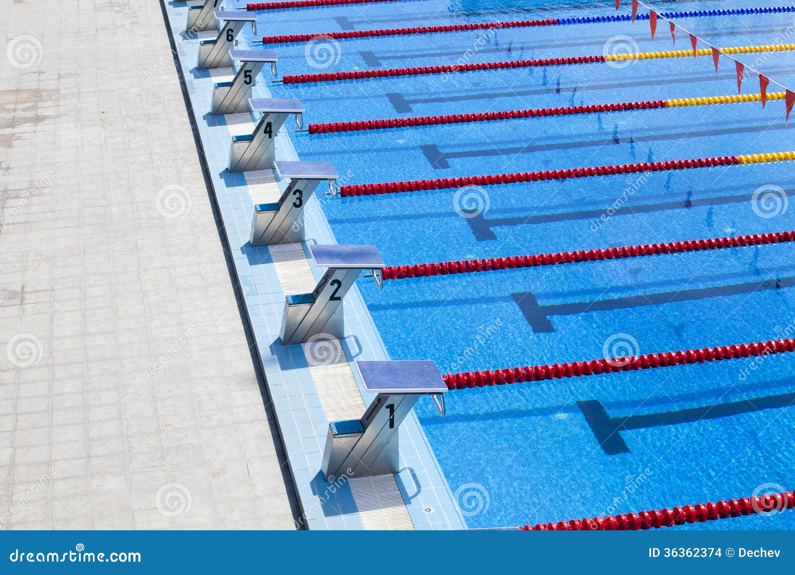Olympic Swimming Starting Blocks Interior Design Olympic Swimming Starting Blocks Interior Design