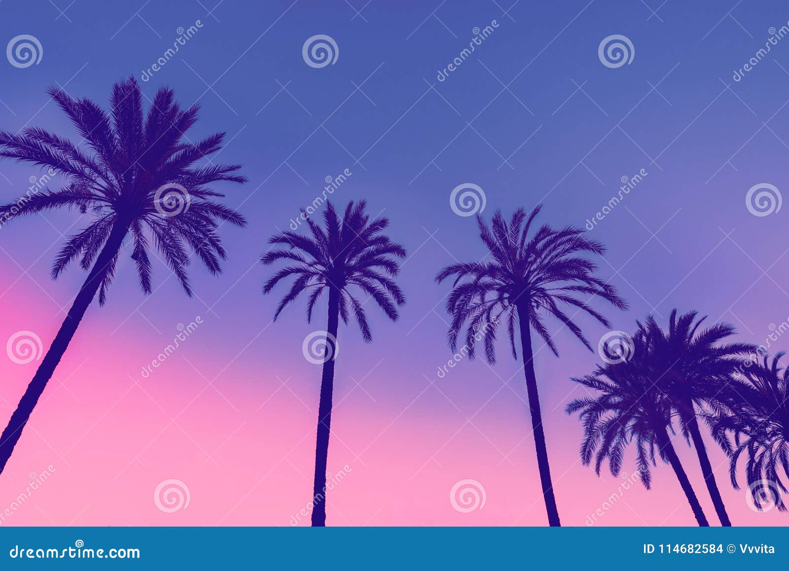 Miami Tropical Palm Tree Illustration Vice Color Sunset Wall