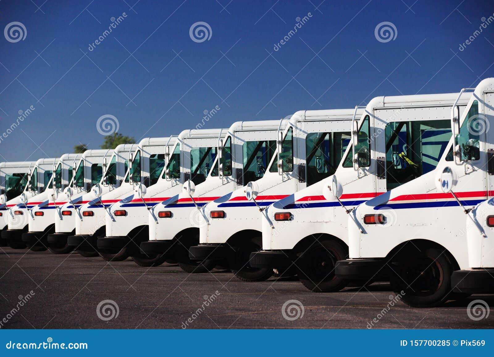 us postal service trucks parked in a line.