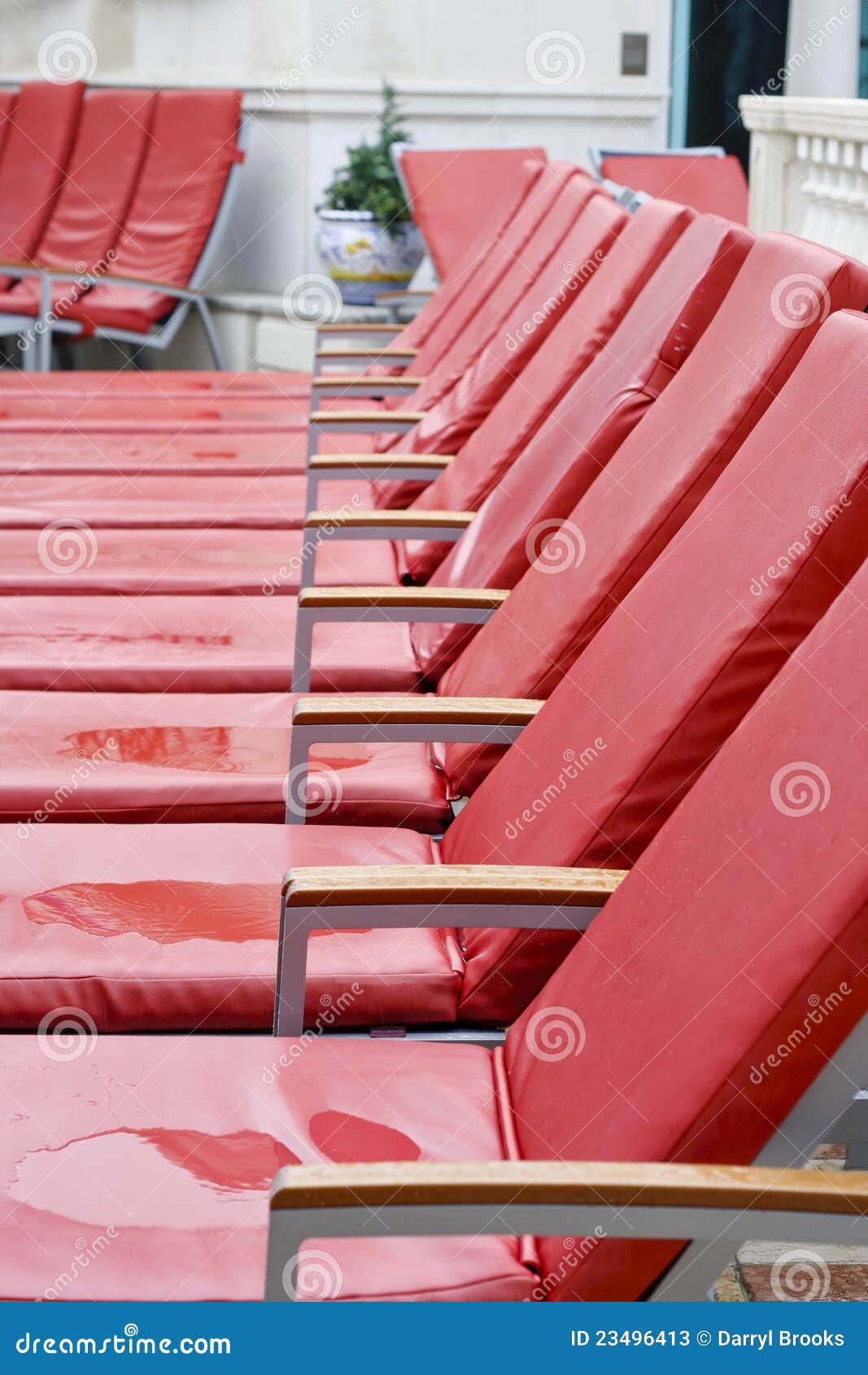 Row of Wet Red Chaise Lounge Chairs Stock Image Image of rain