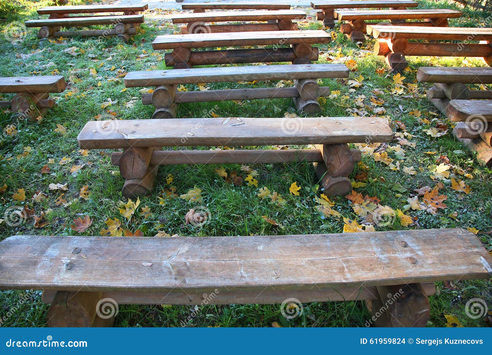 Row of wooden benches in park