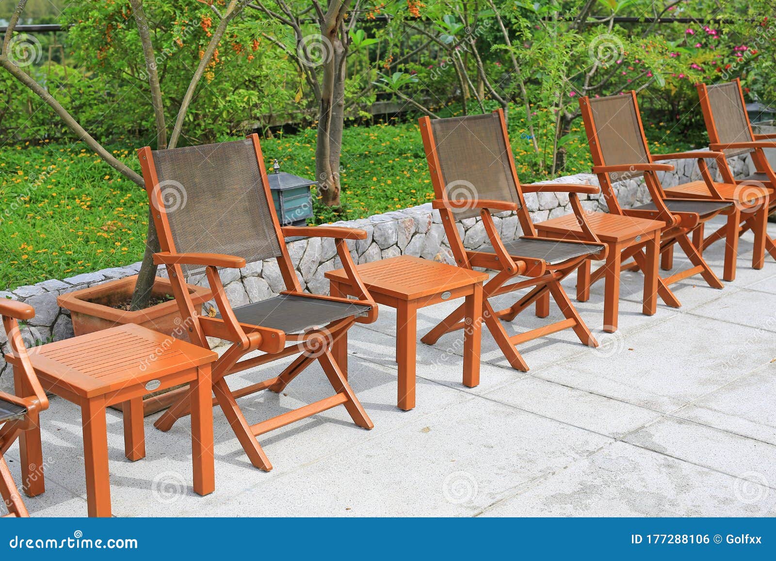 Row of Wooden Chairs Set beside a Pool Stock Photo Image of gardening