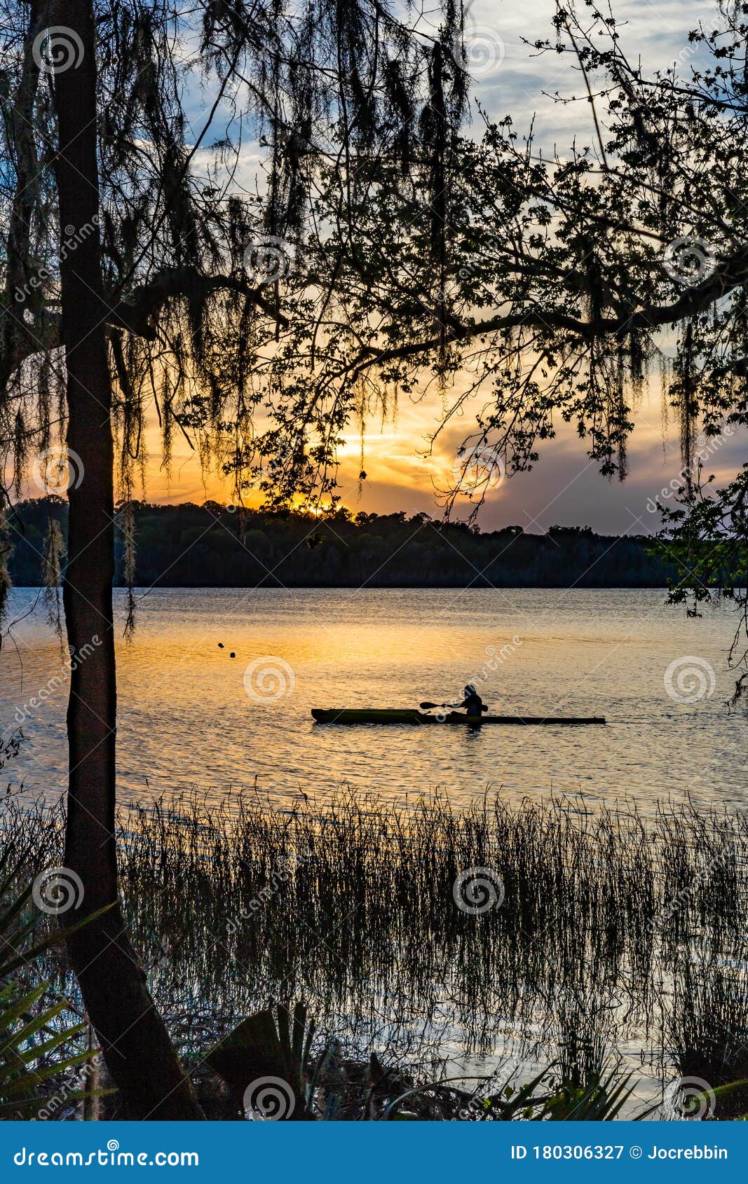 rower paddling down pond in payne`s prairie in florida