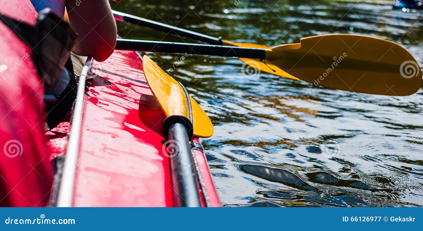 Rowers on canoe floating stock image. Image of canoeing 66126977