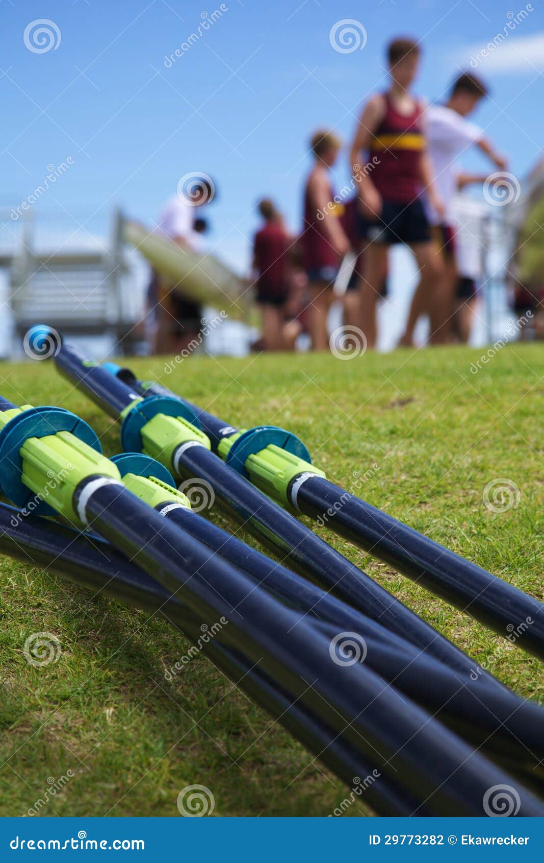 Rowing Regatta stock photo. Image of regatta, teams, competition 29773282