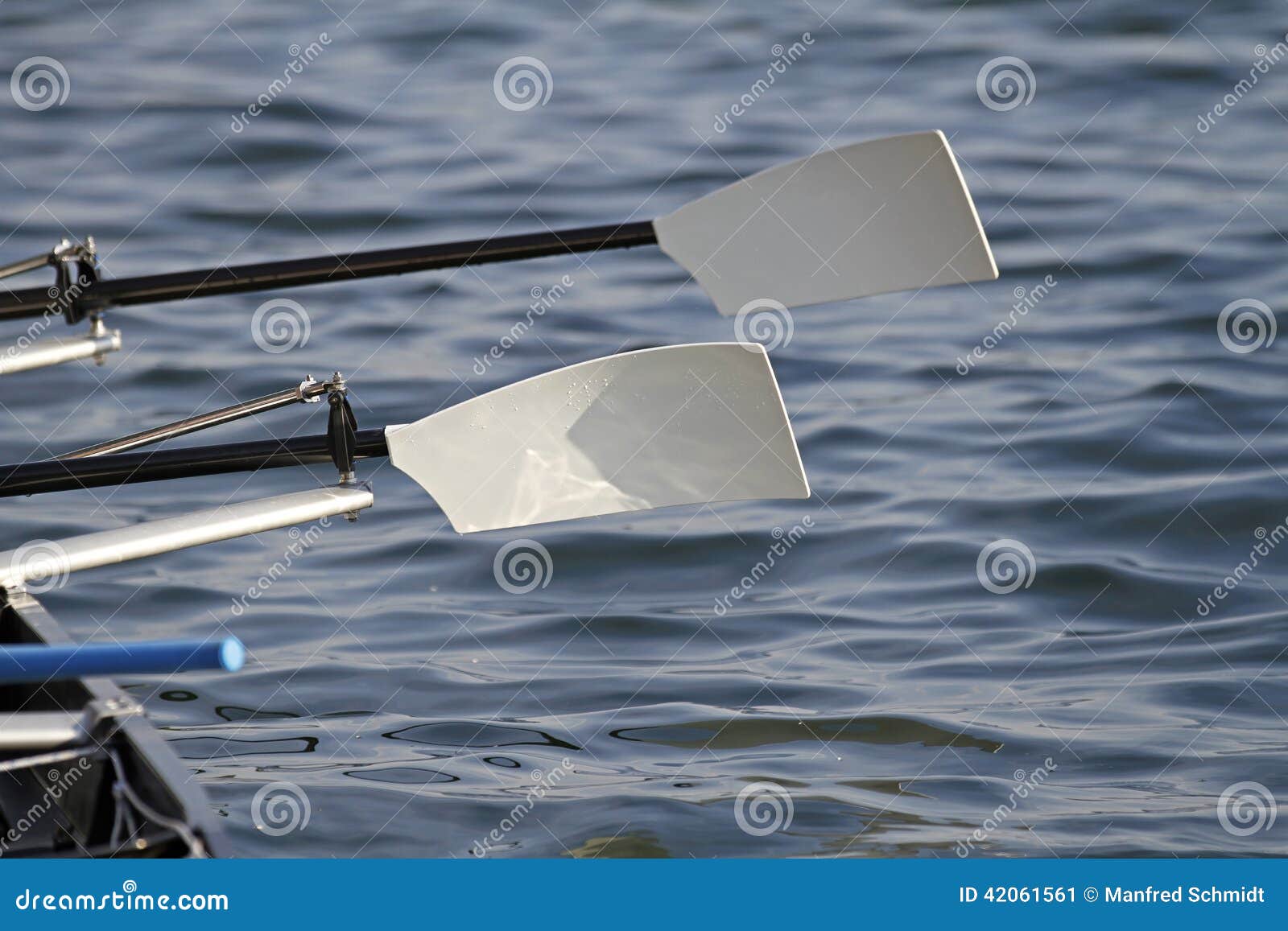 rowing oars